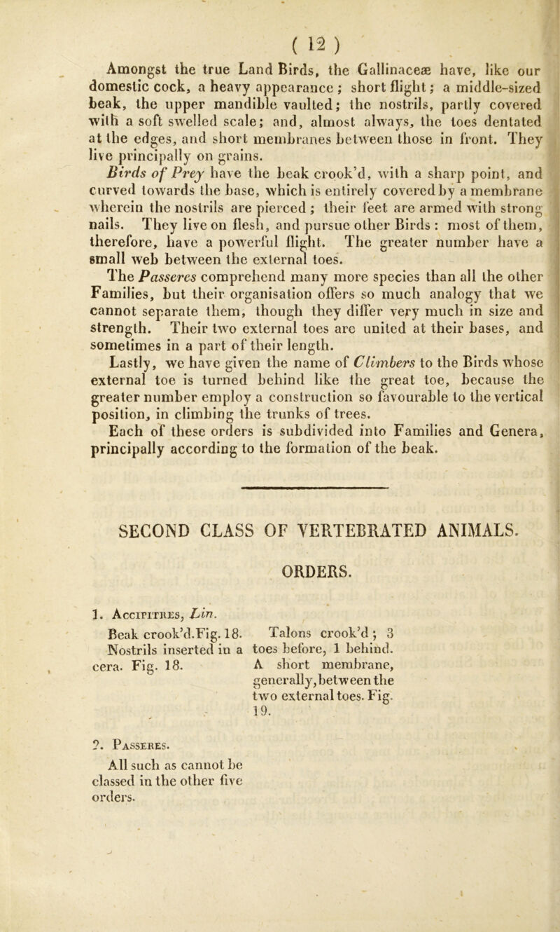 Amongst the true Land Birds, the Gallinaceae have, like our domestic cock, a heavy appearance ; short flight; a middle-sized beak, the upper mandible vaulted; the nostrils, partly covered with a soft swelled scale; and, almost always, the toes dentated at the edges, and short membranes between those in front. They live principally on grains. Birds of Prey have the beak crook’d, with a sharp point, and curved towards the base, which is entirely covered by a membrane wherein the nostrils are pierced ; their feet are armed with strong nails. They live on flesh, and pursue other Birds : most of them, therefore, have a powerful flight. The greater number have a small web between the external toes. The Passeres comprehend many more species than all the other Families, but their organisation offers so much analogy that we cannot separate them, though they differ very much in size and strength. Their two external toes are united at their bases, and sometimes in a part of their length. Lastly, we have given the name of Climbers to the Birds whose external toe is turned behind like the great toe, because the greater number employ a construction so favourable to the vertical position, in climbing the trunks of trees. Each of these orders is subdivided into Families and Genera, principally according to the formation of the beak. SECOND CLASS OF YERTEBRATED ANIMALS. ORDERS. 3. AcciriTRES, Lin. Beak crook’d.Fig. 18. Talons crook’d ; 3 Nostrils inserted in a toes before, 1 behind, cera. Fig. 18. A short membrane, generally,between the two external toes. Fig. 19. ✓ ?. Passeres. All such as cannot be classed in the other five orders.