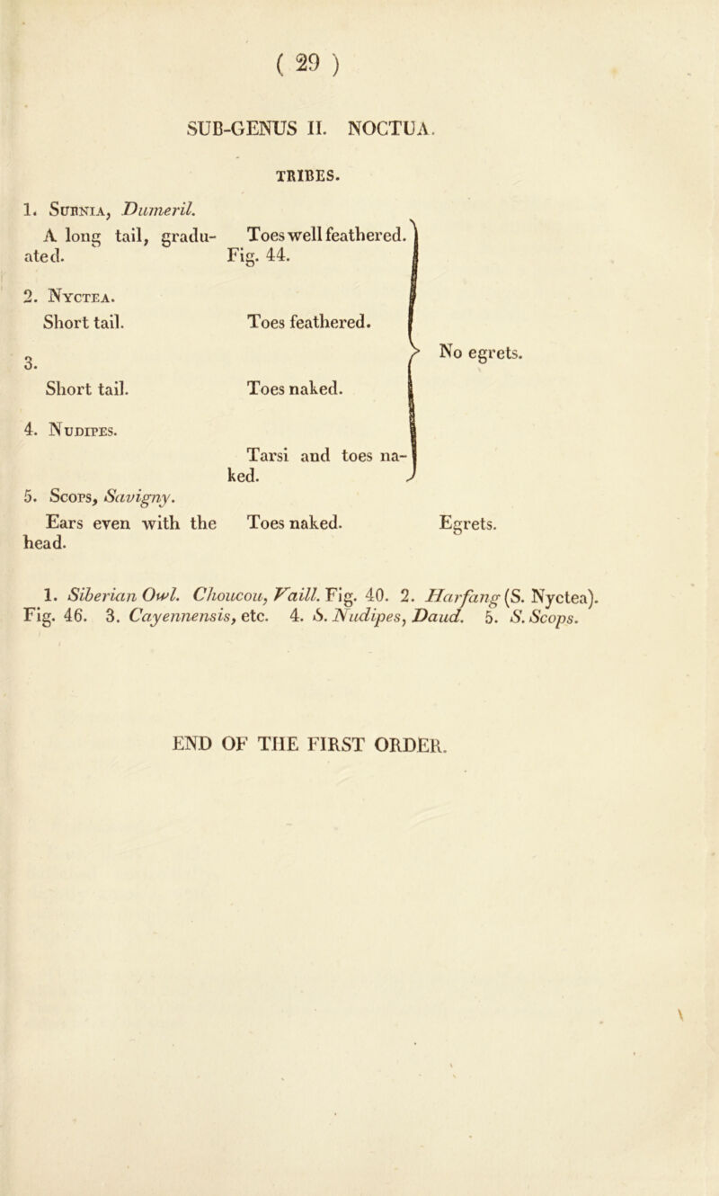 SUB-GENUS II. NOCTEA. TRIBES. 1. Subnia, Dumeril. A long tail, gratia- Toes well feathered. ated. 2. Nyctea. Short tail. o o. Short tail. 4. NumrES. Fig. 44. Toes feathered. Toes naked. Tarsi and toes na- ked. 5. Scops, Savigny. Ears even with the Toes naked, head. No egrets. Egrets. 1. Siberian Owl. Choucou, Vaill. Fig. 40. 2. Harfang (S. Nyctea). Fig. 46. 3. Cayennensis, etc. 4. S. Nudipes, Daud. 5. S. Scops. END OF TIIE FIRST ORDER.