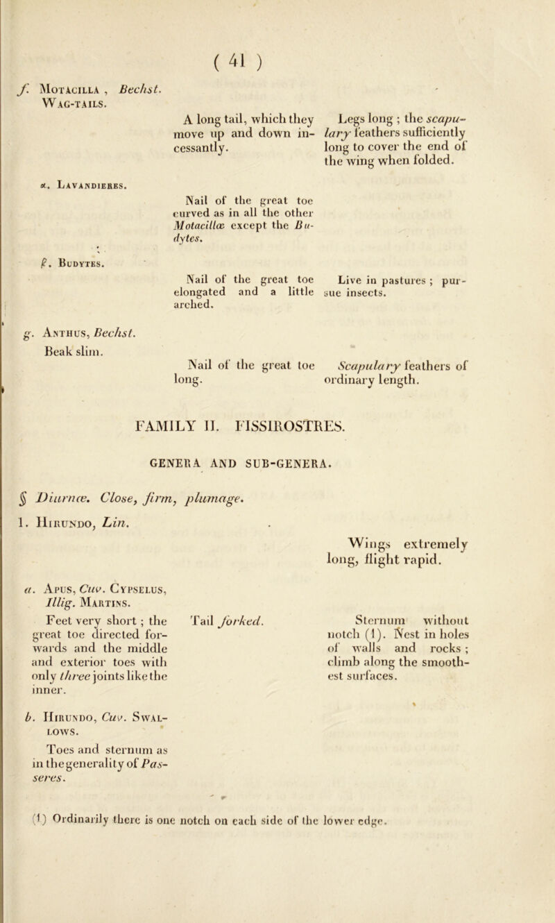 f. Motacilla , Bechst. Wag-tails. *. Lavandiehes. /?. Budytks. I * g. Anthus, Bechst. Beak slim. A long tail, which they move up and down in- cessantly. IN ail oi‘ the great toe curved as in all the other Motacilloe. except the Bu- (tytcs. Nail of the great toe elongated and a little arched. Legs long ; the scapu- lary leathers sufficiently long to cover the end of’ the wing when folded. Live in pastures ; pur- sue insects. Nail ot the great toe Scapulary feathers of long. ordinary length. FAMILY II. FISSIROSTRES. GENERA AND SUB-GENERA. § Diurnce. Close, firm, plumage. 1. Hirundo, Lin. a. Apus, Cuv. Cypselus, Illig. Martins. Feet very short; the Tail forked. great toe directed for- wards and the middle and exterior toes with only three joints like the inner. b. IIirundo, Cuv. Swal- lows. Toes and sternum as in the generality of Pas- seres. Wings extremely long, flight rapid. Sternum without notch (1). Nest in holes of walls and rocks ; climb along the smooth- est surfaces. 1) Ordinarily there is one notch on each side of the lower edge.