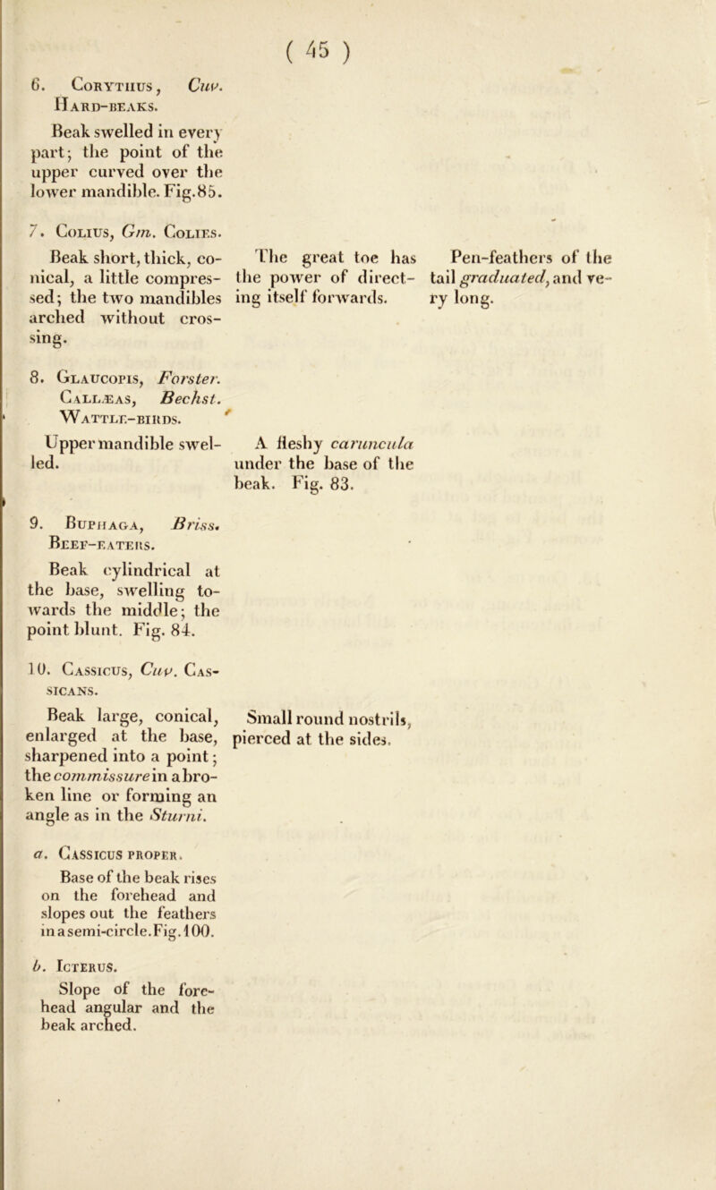 ( ) 6. Corytiius, GW. Hard-beaks. Beak swelled in ever y part; the point of the upper curved over the lower mandible. Fig.85. 7. Colius, Gm. Colies. Beak short, thick, co- nical, a little compres- sed; the two mandibles arched without cros- sing. 8. Glaucopis, Forster. Call.eas, Bechst. Wa TTLE—BIRDS. Upper mandible swel- led. 9. Buphaga, B?isS' Beef-eaters. Beak cylindrical at the base, swelling to- wards the middle; the point blunt. Fig. 84. 1 0. Cassicus, Cup. Cas- SICANS. Beak large, conical, enlarged at the base, sharpened into a point; the comm issure in a bro- ken line or forming an angle as in the Sturni. a. Cassicus proper. Base of the beak rises on the forehead and slopes out the feathers in a semi-circle. Fig. 100. b. Icterus. Slope of the fore- head angular and the beak arched. The great toe has the power of direct- ing itself forwards. A fleshy caruncula under the base of the beak. Fig. 83. Small round nostrils, pierced at the sides. Pen-feathers of the tail graduated, and ve- ry long.