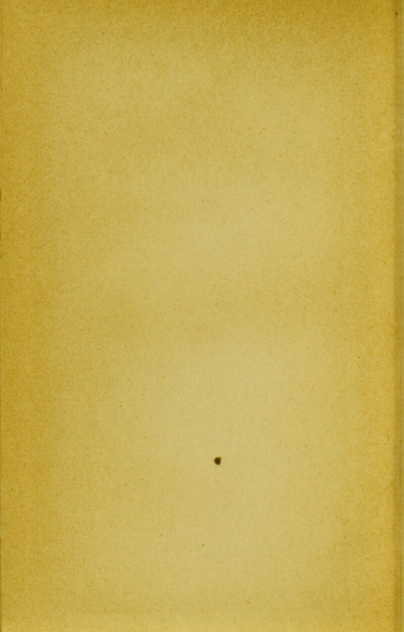 I, ■ .' ', \ r- y-’ ' I> ' A 1 ’^v . ■•,./ , V