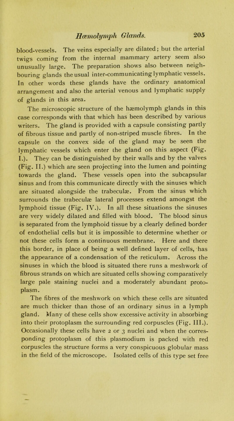blood-vessels. The veins especially are dilated; but the arterial twigs coming from the internal mammary artery seem also unusually large. The preparation shows also between neigh- bouring glands the usual inter-communicating lymphatic vessels. In other words these glands have the ordinary anatomical arrangement and also the arterial venous and lymphatic supply of glands in this area. The microscopic structure of the haemolymph glands in this case corresponds with that which has been described by various writers. The gland is provided with a capsule consisting partly of fibrous tissue and partly of non-striped muscle fibres. In the capsule on the convex side of the gland may be seen the lymphatic vessels which enter the gland on this aspect (Fig. I.). They can be distinguished by their walls and by the valves (Fig. II.) which are seen projecting into the lumen and pointing towards the gland. These vessels open into the subcapsular sinus and from this communicate directly with the sinuses which are situated alongside the trabeculae. From the sinus which surrounds the trabeculae lateral processes extend amongst the lymphoid tissue (Fig. IV.). In all these situations the sinuses are very widely dilated and filled with blood. The blood sinus is separated from the lymphoid tissue by a clearly defined border of endothelial cells but it is impossible to determine whether or not these cells form a continuous membrane. Here and there this border, in place of being a well defined layer of cells, has the appearance of a condensation of the reticulum. Across the sinuses in which the blood is situated there runs a meshwork of fibrous strands on which are situated cells showing comparatively large pale staining nuclei and a moderately abundant proto- plasm. The fibres of the meshwork on which these cells are situated are much thicker than those of an ordinary sinus in a lymph gland. Many of these cells show excessive activity in absorbing into their protoplasm the surrounding red corpuscles (Fig. III.). Occasionally these cells have 2 or 3 nuclei and when the corres- ponding protoplasm of this plasmodium is packed with red corpuscles the structure forms a very conspicuous globular mass in the field of the microscope. Isolated cells of this type set free