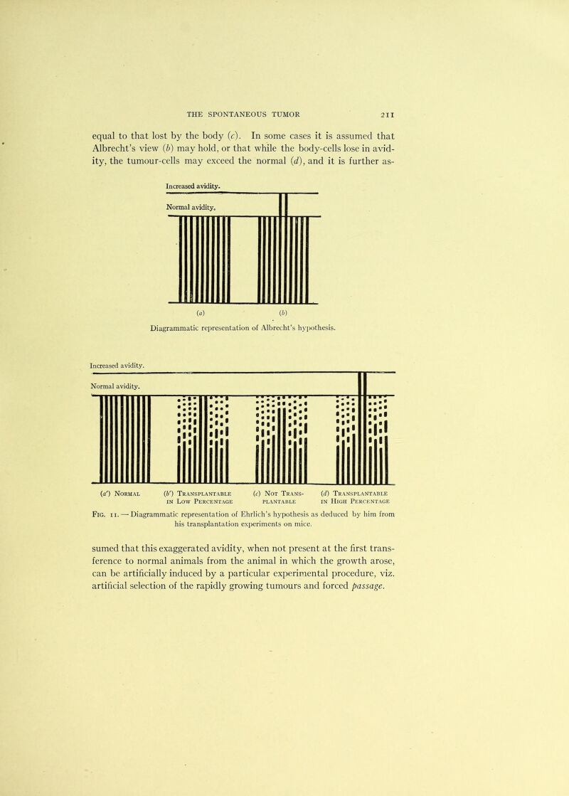 equal to that lost by the body (c). In some cases it is assumed that Albrecht’s view (b) may hold, or that while the body-cells lose in avid- ity, the tumour-cells may exceed the normal (d), and it is further as- Increased avidity. Normal avidity. (a) (b) Diagrammatic representation of Albrecht’s hypothesis. (a') Normal (b') Transplantable (c) Not Trans- (d) Transplantable in Low Percentage plantable in High Percentage Fig. ii.—-Diagrammatic representation of Ehrlich’s hypothesis as deduced by him from his transplantation experiments on mice. sumed that this exaggerated avidity, when not present at the first trans- ference to normal animals from the animal in which the growth arose, can be artificially induced by a particular experimental procedure, viz. artificial selection of the rapidly growing tumours and forced passage.