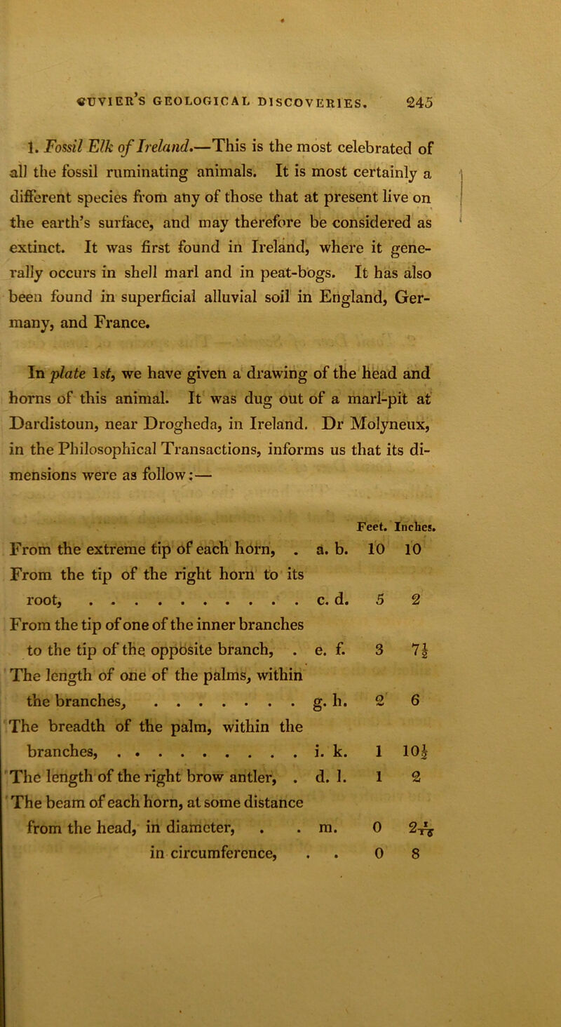 1. Fossil Elk of Ireland.—This is the most celebrated of all the fossil ruminating animals. It is most certainly a different species from any of those that at present live on the earth’s surface, and may therefore be considered as extinct. It was first found in Ireland, where it gene- rally occurs in shell marl and in peat-bogs. It has also been found in superficial alluvial soil in England, Ger- many, and France. In plate lsf, we have given a drawing of the head and horns of this animal. It was dug out of a marl-pit at Dardistoun, near Drogheda, in Ireland. Dr Molyneux, in the Philosophical Transactions, informs us that its di- mensions were as follow:— Feet. Inches. From the extreme tip of each horn, . a. b. 10 10 From the tip of the right horn to its root, c. d. From the tip of one of the inner branches to the tip of the opposite branch, . e. f. The length of one of the palms, within the branches, g. h. The breadth of the palm, within the branches, i. k. The length of the right brow antler, . d. 1. The beam of each horn, at some distance from the head, in diameter, . . m. in circumference, . 0 8 5 3 o 0 2 n 6 1 10J 1 2 2
