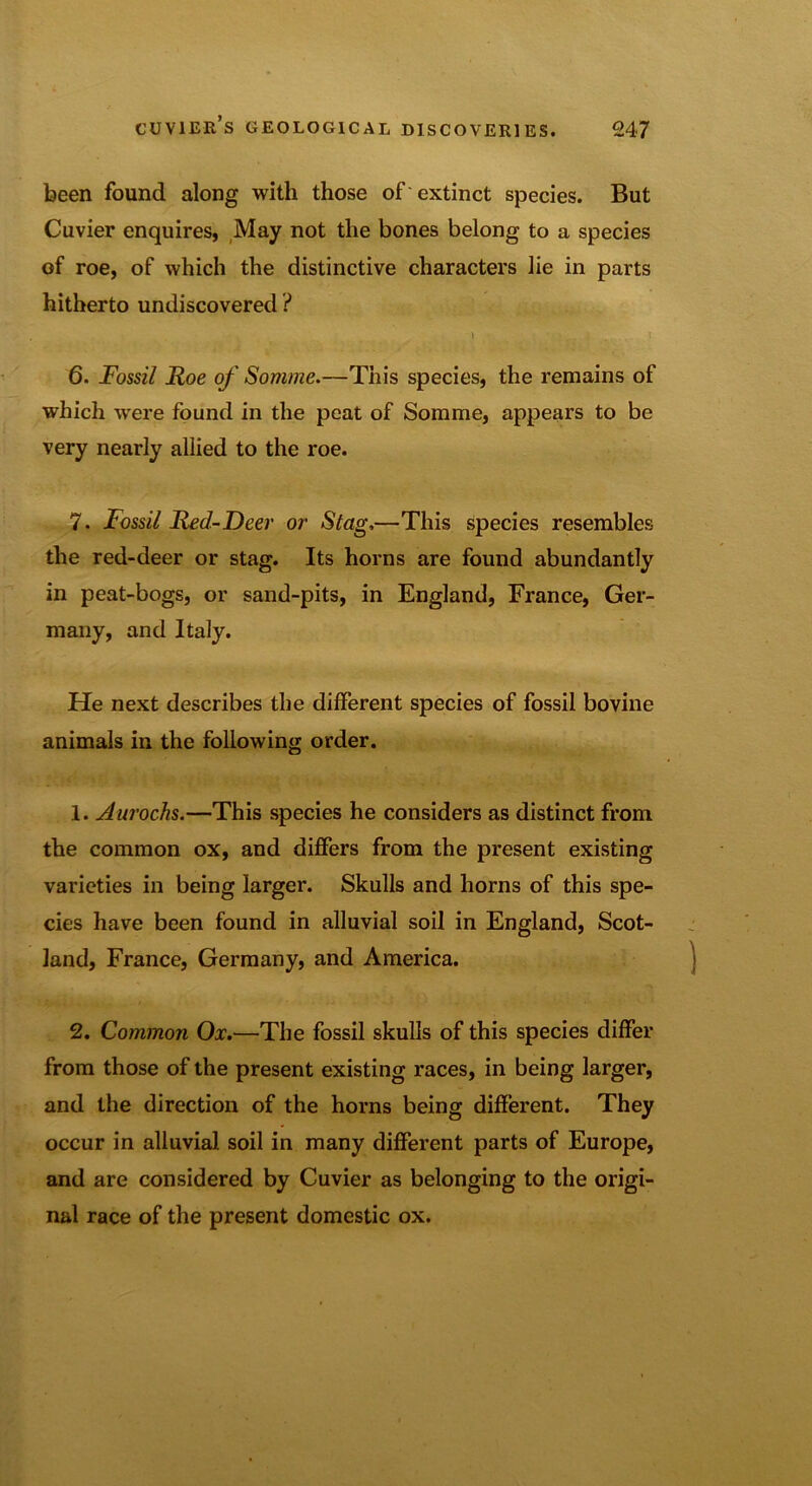 been found along with those of extinct species. But Cuvier enquires, May not the bones belong to a species of roe, of which the distinctive characters lie in parts hitherto undiscovered ? 6. Fossil Roe of Somme.—This species, the remains of which were found in the peat of Somme, appears to be very nearly allied to the roe. 7. Fossil Red-Deer or Stag,—This species resembles the red-deer or stag. Its horns are found abundantly in peat-bogs, or sand-pits, in England, France, Ger- many, and Italy. He next describes the different species of fossil bovine animals in the following order. 1. Aurochs.—This species he considers as distinct from the common ox, and differs from the present existing varieties in being larger. Skulls and horns of this spe- cies have been found in alluvial soil in England, Scot- land, France, Germany, and America. 2. Common Ox.—The fossil skulls of this species differ from those of the present existing races, in being larger, and the direction of the horns being different. They occur in alluvial soil in many different parts of Europe, and are considered by Cuvier as belonging to the origi- nal race of the present domestic ox.