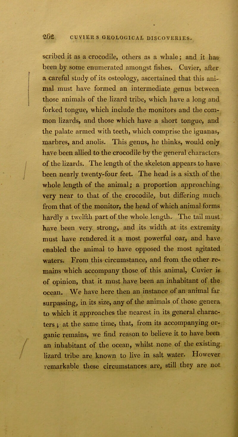 scribed it as a crocodile, others as a whale; and it has been by some enumerated amongst fishes. Cuvier, after a careful study of its osteology, ascertained that this ani- mal must have formed an intermediate genus between those animals of the lizard tribe, which have a long and forked tongue, which include the monitors and the com- mon lizards, and those which have a short tongue, and the palate armed with teeth, which comprise the iguanas, marbres, and anolis. This genus, he thinks, would only have been allied to the crocodile by the general characters of the lizards. The length of the skeleton appears to have been nearly twenty-four feet. The head is a sixth of the whole length of the animal; a proportion approaching very near to that of the crocodile, but differing much from that of the monitor, the head of which animal forms hardly a twelfth part of the whole length. The tail must have been very strong, and its width at its extremity must have rendered it a most powerful oar, and have enabled the animal to have opposed the most agitated waters. From this- circumstance, and from the other re- mains which accompany those of this animal, Cuvier is of opinion, that it must have been an inhabitant of the ocean. We have here then an instance of an animal far surpassing, in its size, any of the animals of those genera to which it approaches the nearest in its general charac- ters ; at the same time, that, from its accompanying or- ganic remains, we find reason to believe it to have been an inhabitant of the ocean, whilst none of the existing lizard tribe are known to live in salt water. However remarkable these circumstances are, still they are not