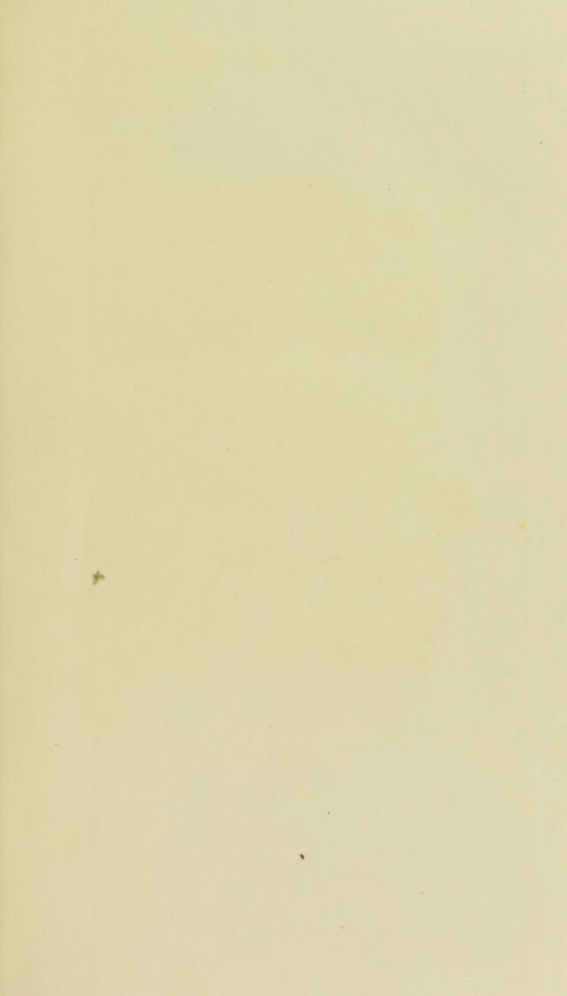 digitised image 3