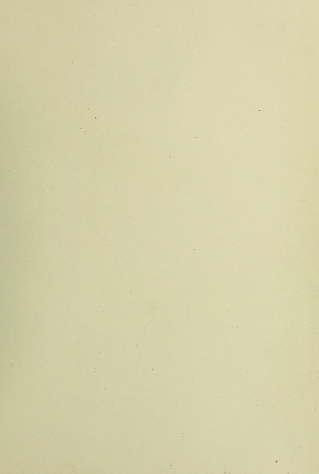 digitised image 3