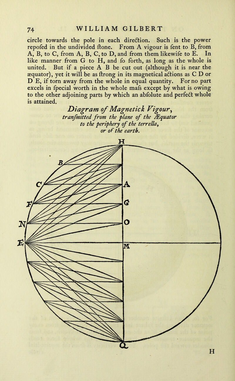 circle towards the pole in each diredtion. Such is the power repofed in the undivided ftone. From A vigour is fent to B, from A, B, to C, from A, B, C, to D, and from them likewife to E. In like manner from G to H, and fo forth, as long as the whole is united. But if a piece A B be cut out (although it is near the aequator), yet it will be as ftrong in its magnetical adtions as C D or D E, if torn away from the whole in equal quantity. For no part excels in fpecial worth in the whole mafs except by what is owing to the other adjoining parts by which an abfolute and perfedt whole is attained. Diagram of Magnetick Vigour, tranfmitted from the plane of the /Equator to the periphery of the terrella, or of the earth. H