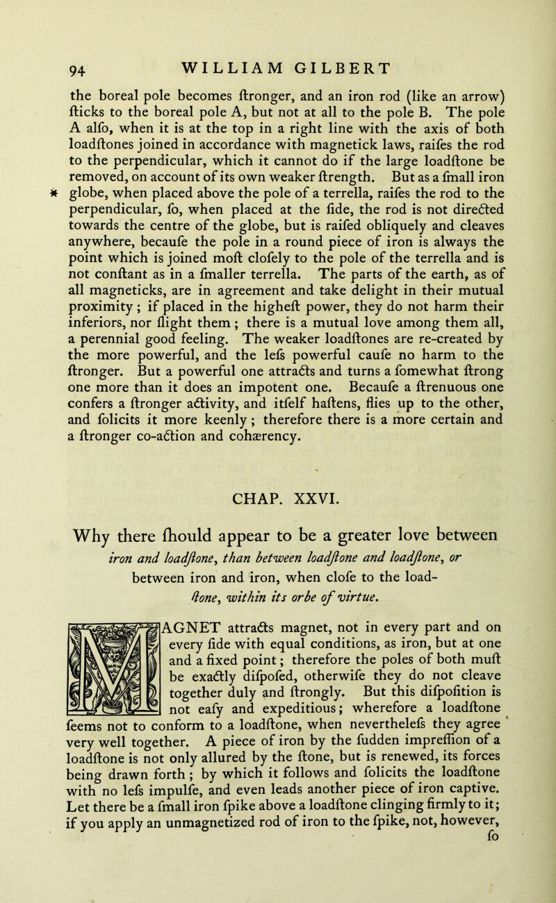the boreal pole becomes flronger, and an iron rod (like an arrow) flicks to the boreal pole A, but not at all to the pole B. The pole A alfo, when it is at the top in a right line with the axis of both loadflones joined in accordance with magnetick laws, raifes the rod to the perpendicular, which it cannot do if the large loadflone be removed, on account of its own weaker flrength. But as a fmall iron * globe, when placed above the pole of a terrella, raifes the rod to the perpendicular, fo, when placed at the fide, the rod is not directed towards the centre of the globe, but is raifed obliquely and cleaves anywhere, becaufe the pole in a round piece of iron is always the point which is joined mofl clofely to the pole of the terrella and is not conflant as in a fmaller terrella. The parts of the earth, as of all magneticks, are in agreement and take delight in their mutual proximity; if placed in the highefl power, they do not harm their inferiors, nor flight them; there is a mutual love among them all, a perennial good feeling. The weaker loadflones are re-created by the more powerful, and the lefs powerful caufe no harm to the flronger. But a powerful one attracts and turns a fomewhat flrong one more than it does an impotent one. Becaufe a flrenuous one confers a flronger activity, and itfelf haflens, flies up to the other, and folicits it more keenly; therefore there is a more certain and a flronger co-adlion and coherency. CHAP. XXVI. Why there fhould appear to be a greater love between iron and loadjione, than between loadflone and loadflone, or between iron and iron, when clofe to the load- ftone, within its or be of virtue. AGNET attracts magnet, not in every part and on every fide with equal conditions, as iron, but at one and a fixed point; therefore the poles of both mufl be exadtly difpofed, otherwife they do not cleave together duly and flrongly. But this difpofition is not eafy and expeditious; wherefore a loadflone feems not to conform to a loadflone, when neverthelefs they agree very well together. A piece of iron by the fudden impreflion of a loadflone is not only allured by the flone, but is renewed, its forces being drawn forth ; by which it follows and folicits the loadflone with no lefs impulfe, and even leads another piece of iron captive. Let there be a fmall iron fpike above a loadflone clinging firmly to it; if you apply an unmagnetized rod of iron to the fpike, not, however, fo
