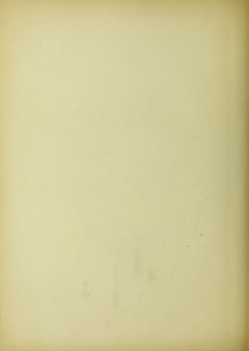 '