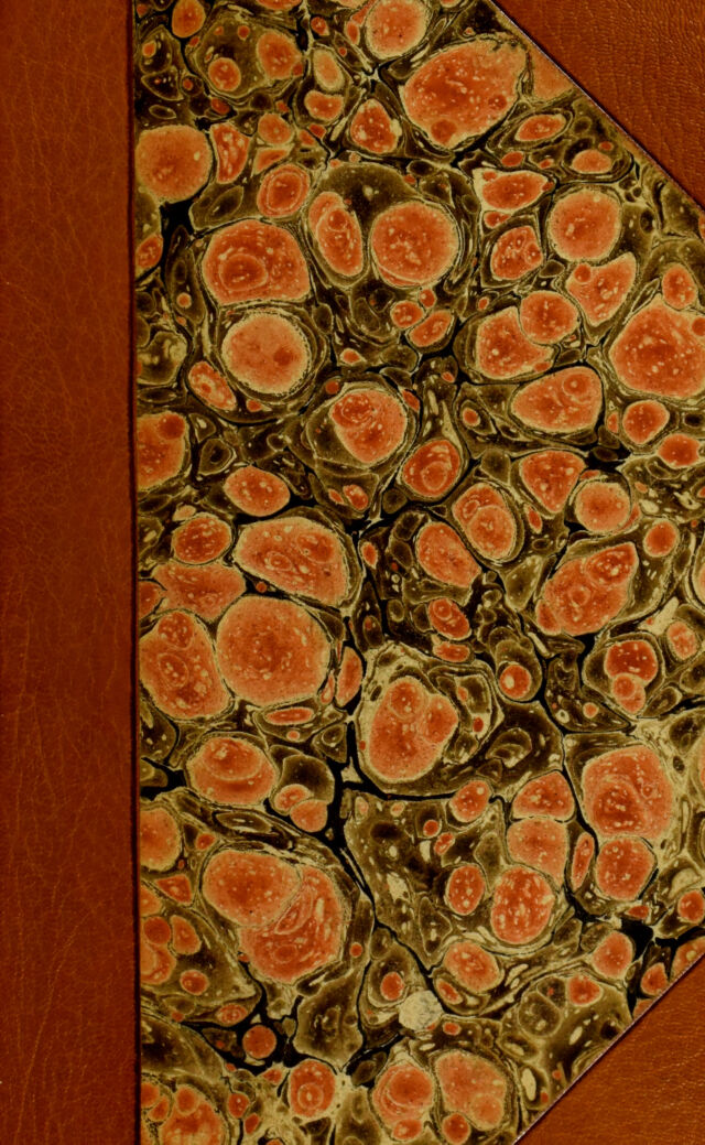 No text description is available for this image