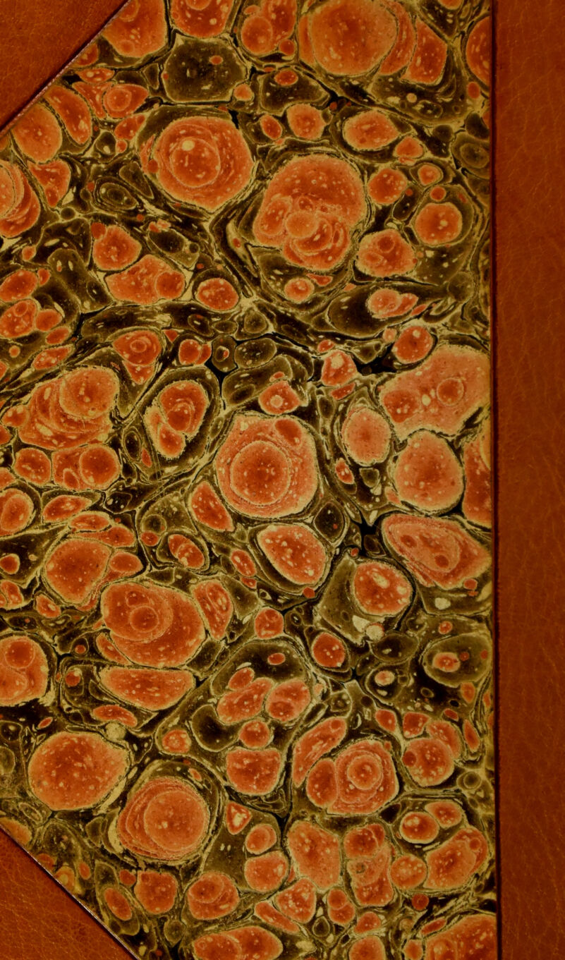 No text description is available for this image