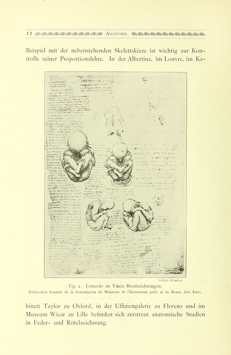 I 2 !Slfi <§^(>iSifiISIPAnaTOMIE. Beispiel mit der nebenstehenden Skelettskizze ist wichtig zur Kon- trolle seiner Proportionslehre, ln der Albertina, im Louvre, im Ka- Schlo/s Windsor. Fig. 4. Lionardo da Vincis Handzeichnungen. Publication honoree de la Souscription du Ministere de l'Instruction publ. et de Beaux Arts Paris. - ,, ANW (r? ’f • n v«”i • '> wK^V'T -- »V? »f»?* r-o>> '4^- 'fff: .n-^U-T ■n*'«'' •✓» rtt^ -rt?«« > ■•'nP. . vr f «A, ' a'-jS - „r..- .. ^ /;■•'•. ^ AZTc; An^/ ufrrvF. / VtZffz' tA^pr- Vj/tz V« ,■ y/'4 -..,.■,■ •.,1»' *»-»|/»»''V/ ■.M^. n* , • .' .. Y >/■ l'Y ^rtt ^•1-' ••' *9 •'■ y 'f -,u^ti , I w'ftNO »ft Je u t4'f 4t i)A z. ^ , vw/f) ■<5v >^v «df'* > f.Uf i,/»r-d V#/fOA 'S* J «'»¥ « M -<P» «> '»'«»z .< >/•€ A , kv-V 4,4/4,^ ' ' ZP' A •» :wU</V-^'p :</' >fniii/r9t\f 'j/WA* '• • Z.MAJ '.Sj. . ':r>v-,r/, -- , , .f^l'rt f,n .1 >.' ^■ Ar KfW..., . .. , P *‘r''A^W-^>< k^~r4 l/fuf -fA / ; - VA A>'Z» . ,_j >>v A,r » -.-rzj y fc—n« binett Taylor zu Oxford, in der Uthziengalerie zu Florenz und im Museum Wicar zu Lille befinden sich zerstreut anatomische Studien in Feder- und Rötelzeichnung.