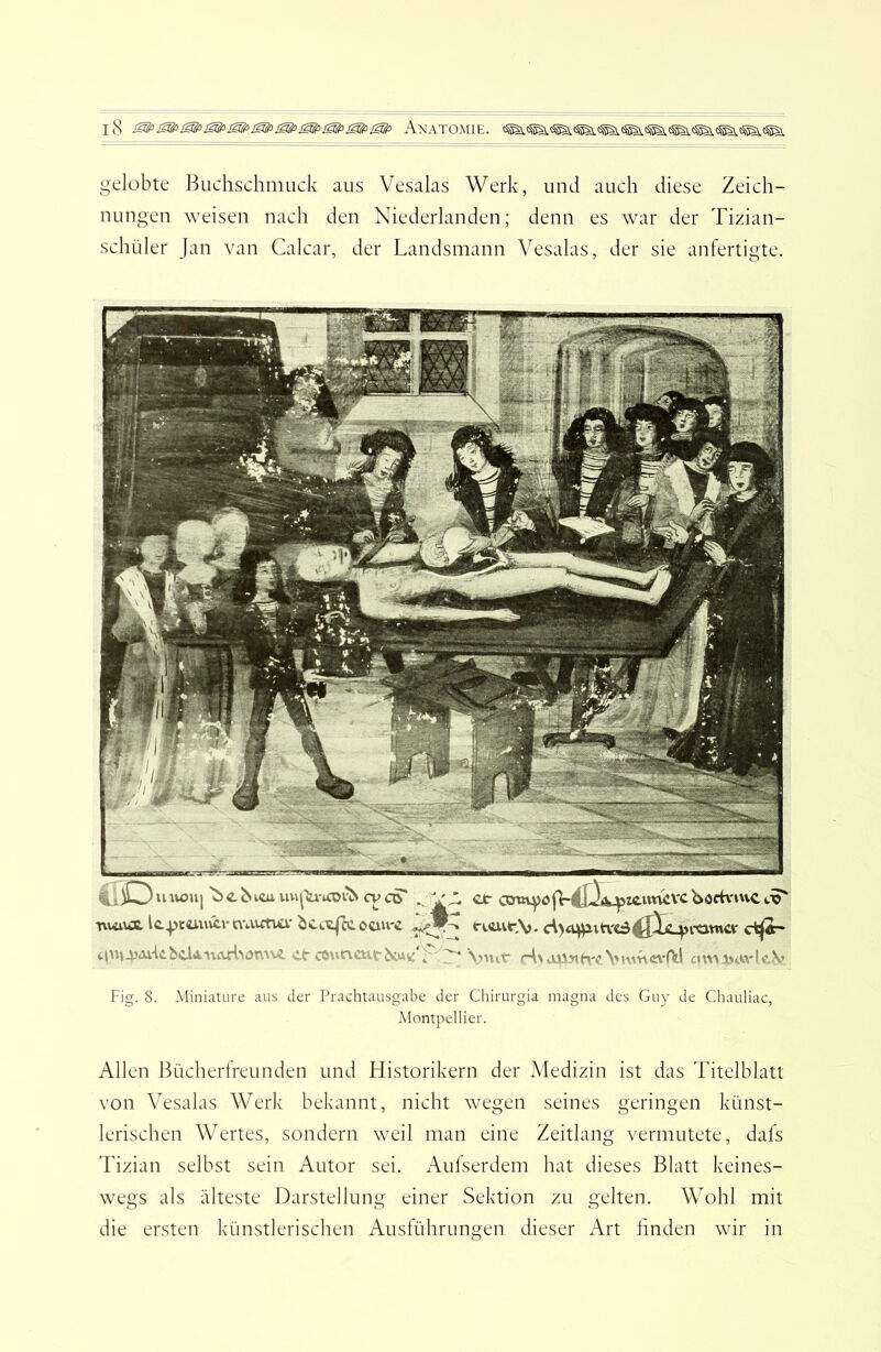 gelobte Buchschmuck aus Vesalas Werk, und auch diese Zeich- nungen weisen nach den Niederlanden; denn es war der Tizian- schüler Jan van Calcar, der Landsmann Vesalas, der sie anfertigte. . )0 uriöuj'^c^lcuvm|■^a-^a>v^ c^oS' - et-GmyöjV4l^A>^icimcvc nui\Ä lc4)cm\u:rn'autva'bcttfjcoau'c t-i<avr,V. d><^)a^^c^4^1c^lXltncv t c?mc\cut- N;u',' N ^ Viiw Vumit^'Ad cui>4ivU’.V Fig. 8. Miniature aus der Prachtausgabe der Chirurgia magna des Guy de Chauliac, Montpellier. Allen Bücherfreunden und Historikern der ^Medizin ist das Titelblatt von Vesalas Werk bekannt, nicht wegen seines geringen künst- lerischen Wertes, sondern weil man eine Zeitlang vermutete, dafs Tizian selbst sein Autor sei. Aufserdem hat dieses Blatt keines- wegs als älteste Darstellung einer Sektion zu gelten. Wohl mit die ersten künstlerischen Ausführungen dieser Art linden wir in