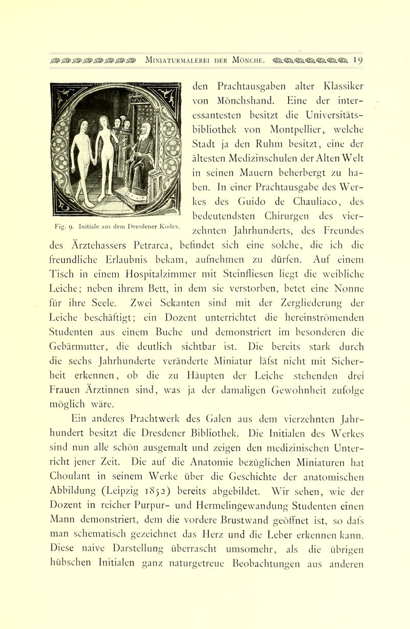 Fig. 9. Initiale ans dem Dresdener Kodex. den Prachtausgaben alter Klassiker von Mönchshand. Eine der inter- essantesten besitzt die Universitäts- bibliothek von Montpellier, welche Stadt ja den Ruhm besitzt, eine der ältesten Medizinschulen der Alten Welt in seinen Mauern beherbergt zu ha- ben. In einer Prachtausgabe des W'er- kes des Guido de Chauliaco, des bedeutendsten Chirurgen des vier- zehnten Jahrhunderts, des Freundes des Ärztehassers Petrarca, befindet sich eine solche, die ich die freundliche Erlaubnis bekam, aulnehmen zu dürlen. Auf einem Tisch in einem Hospitalzimmer mit Steinfliesen liegt die weibliche Eeiche; neben ihrem Bett, in dem sie verstorben, betet eine Nonne für ihre Seele. Zwei Sekanten sind mit der Zergliederung der Leiche beschältigt; ein Dozent unterrichtet die hereinströmenden Studenten aus einem Buche und demonstriert im besonderen die Gebärmutter, die deutlich sichtbar ist. Die bereits stark durch die sechs Jahrhunderte veränderte Miniatur läfst nicht mit Sicher- heit erkennen, ob die zu Iläupten der Leiche stehenden drei Frauen Ärztinnen sind, was ja der damaligen Gewohnheit zufolge möglich wäre. Ein anderes Prachtwerk des Galen aus dem vierzehnten Jahr- hundert besitzt die Dresdener Bibliothek. Die Initialen des Werkes sind nun alle schön ausgemalt und zeigen den medizinischen Unter- richt jener Zeit. Die auf die Anatomie bezüglichen Miniaturen hat ChoLilant in seinem Werke über die Geschichte der anatomischen Abbildung (Leipzig 1832) bereits abgebildet. Wir sehen, wie der Dozent in reicher Purpur- und Hermelingewandung Studenten einen Mann demonstriert, dem die vordere Brustwand geöflnet ist, so dafs man schematisch gezeichnet das Herz und die Leber erkennen kann. Diese naive Darstellung überrascht umsomehr, als die übrigen hübschen Initialen ganz naturgetreue Beobachtungen aus anderen