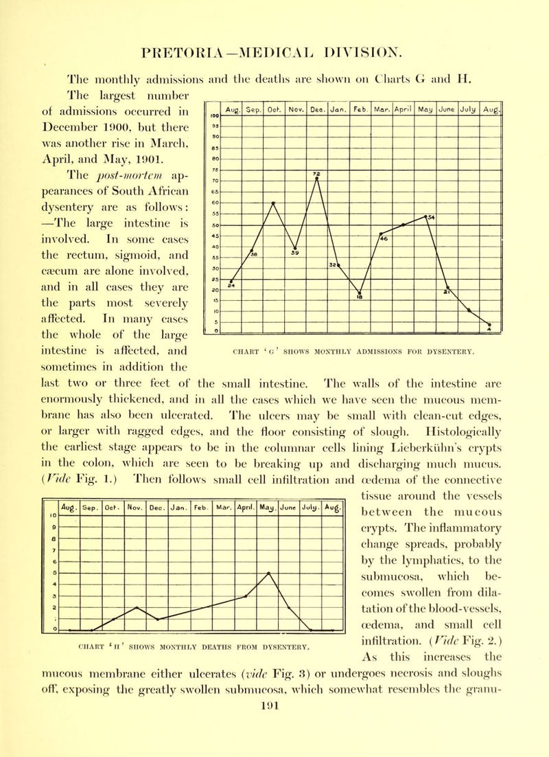 PIIETO IMA —ME 1) IC A L I) lAM SI OX. The monthly admissions and the deaths are shown on Ciiarts G and H. The largest number of admissions occurred in December 1900, bnt there was another rise in March, April, and May, 1901, Tlie post-mortem ap- pearances of South African dysentery are as follows: —The large intestine is involved. In some cases the rectum, sigmoid, and cfEcuni are alone in^’olved, and in all cases they are tlie parts most severely a fleeted. In many cases the whole of the large intestine is affected, and sometimes in addition the last two or three feet of the small intestine. The walls of the intestine are enormously thickened, and in all tlie cases which we have seen the mucous mem- brane has also been ulcerated. The ulcers may be small with clean-cut edges, or larger with ragged edges, and the floor consisting of slough. Histologically the earliest stage apjiears to be in the columnar cells lining Ideberkiihn's crypts in the colon, which are seen to be breaking up and discharging mueh mucus. {Vide Fig. 1.) Then follows small cell infiltration and mdenia of the connective tissue around the vessels CHART ‘ G ’ SHOWS MONTHLY ADMISSIONS FOR DYSENTERY. between the mucous crypts. The inflammatory change spreads, probably by the lympliatics, to the submucosa, which be- comes swollen from dila- tation of the blood-vessels, oedema, and small cell infiltration. (Vide Fig. 2.) As this increases the mucous membrane either ulcerates {vide Fig. 8) or undergoes necrosis and sloughs ofl', exposing the greatly swollen sidmmeosa, winch somewhat resembles the granu- CHART ‘ II SHOWS MONTHLY DEATHS FROM DYSENTERY.