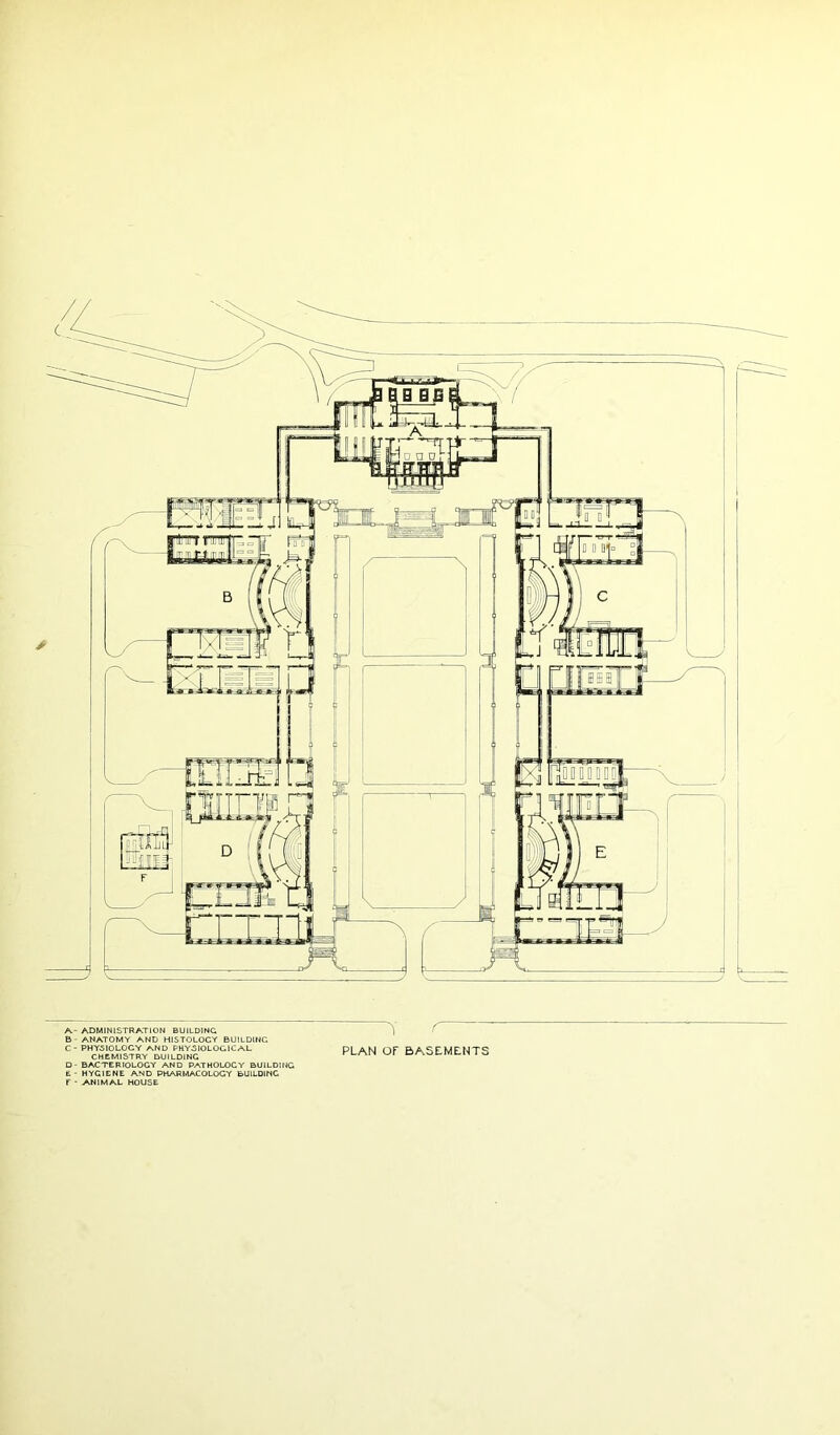 A- ADMINISTRATION BUILDING B - ANATOMY AND HISTOLOGY BUILDING C- PHYSIOLOGY AND PHYSIOLOGICAL CHtMISTRY DUILDING D- BACTERIOLOGY AND PATHOLOGY BUILDING £ • HYGIENE AND PHARMACOLOGY BUILDING F - ANIMAL HOUSE PLAN or BASEMENTS