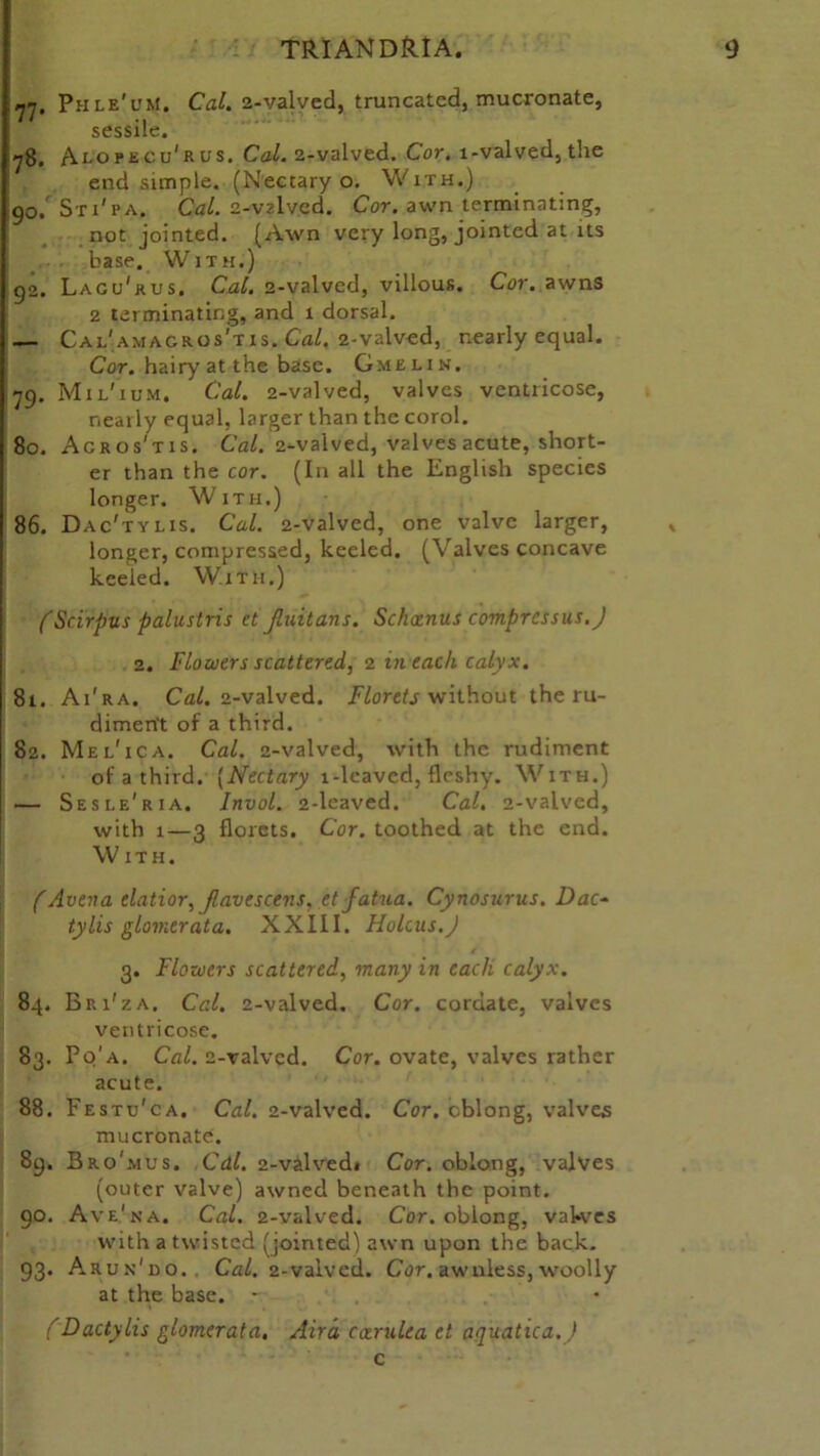 77. Phle'um. Cal. 2-valved, truncated, mucronate, sessile. 78. Alopecu'rus. Cal. 2-valved. Cor. l-valved, the end simple. (Nectary o. With.) 90/Sti'pa. Cal. 2-valved. Cor. awn terminating, not jointed. (Awn very long, jointed at its base. W ith.) 92. Lagu'kus. Cal. 2-valvcd, villous. Cor. awns 2 terminating, and 1 dorsal. — Cal'amagros'tis. Cal. 2-valved, nearly equal. Cor. hairy at the base. Gmehn. 79. Mil'ium. Cal. 2-valved, valves ventricose, nearly equal, larger than the corol. 80. Acros'tis. Cal. 2-valved, valves acute, short- er than the cor. (In all the English species longer. With.) 86. Dac'tylis. Cal. 2-valved, one valve larger, longer, compressed, keeled. (Valves concave keeled. With.) fScirpus palustris et Jluitans. Schaenus compressus.) 2. Flowers scattered, 2 in each calyx. 81. Ai'ra. Cal. 2-valved. Florets without the ru- diment of a third. 82. Mel'ica. Cal. 2-valved, with the rudiment of a third. (Nectary 1-leaved, fleshy. With.) — Sesle'ria. Invol. 2-leaved. Cal. 2-valved, with 1—3 florets. Cor. toothed at the end. With. (Avena elatior, Jlavescens. et jatua. Cynosurus. Dac~ tylis glomerata. XXIII. Holcus.J 3. Flowers scattered, many in each calyx. 84. Bri'za. Cal. 2-valved. Cor. cordate, valves ventricose. 83. Pq'a. Cal. 2-valved. Cor. ovate, valves rather acute. 88. Festu'ca. Cal. 2-valved. Cor. cblong, valves mucronate. 89. Bro'mus. Cal. 2-valvedi Cor. oblong, valves (outer valve) awned beneath the point. 90. Ave'na. Cal. 2-valved. Cor. oblong, vaWcs with a twisted (jointed) awn upon the back. 93. Arun'uo. . Cal. 2-valved. Cor. awuless, woolly at the base. - (Dactylis glomerata. Air 'a coerulea et aquatica. ) c