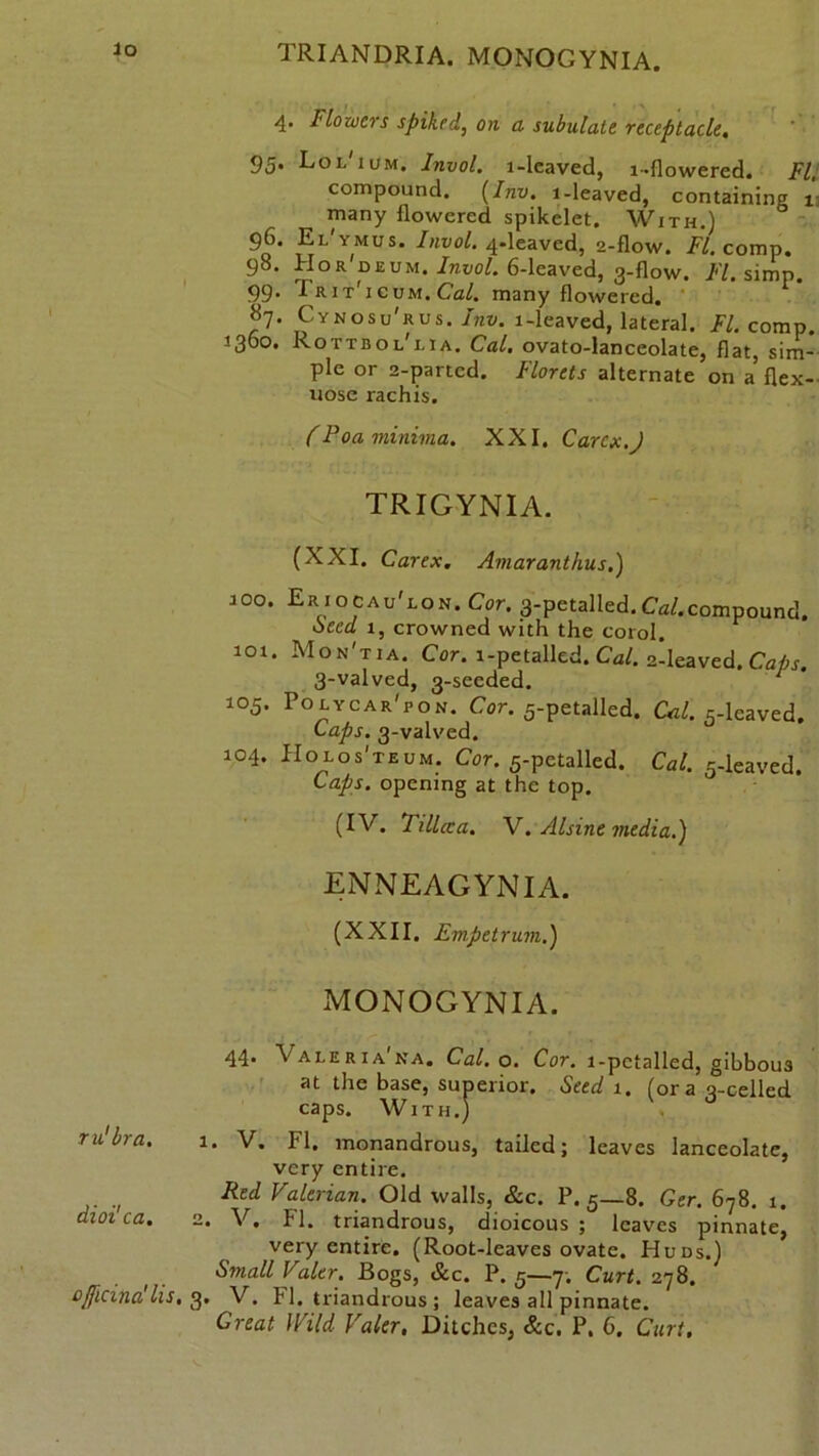 TRIANDRIA. MONOGYNIA. 4. Flowers spiked, on a subulate receptacle, 95. Lol'ium. Jnvol. l-leaved, l-flowered. FI; compound. (Inv. l-leaved, containing 1 many flowered spikelet. With.) 96- YMUS- Invol. 4-leaved, 2-flow. FI. comp. 98. Hor drum. Invol. 6-leaved, 3-flow. FI. simp. 99• RiT 1 cum. Cal. many flowered. 87. Cynosu'rus. Inv. l-leaved, lateral. FI. comp. 1360. Rottbol'lia. Cal. ovato-lanceolate, flat, sim- ple or 2-partcd. Florets alternate on a flex-- nose rachis. (Poa minima. XXI. Carcx.J TRIGYNIA. (XXI. Car ex. Amaranthus.) 100. Eriocau'lon. Cor. 3-petalled.Cal.compound. Seed 1, crowned with the corol. 101. Mon'tia. Cor. l-petalled. Cal. 2-leaved. Caps. 3-valved, 3-seeded. 105. Polycar'pon. Cor. 5-petalled. Cal. 5-lcaved. Laps. 3-valved. 104. IIolos'teum. Cor. 5-petalled. Cal. 5-leaved. Caps, opening at the top. (IV. Tillcca. V. Alsine media.) ENNEAGYNIA. (XXII. Em pet rum.) MONOGYNIA. 44. Valeria'na. Cal. o. Cor. l-pctalled, gibbous at the base, superior. Seed 1. (ora a-celled caps. With.) ru'bra. 1. V. FI. monandrous, tailed; leaves lanceolate, very entire. Rsd Valerian. Old walls, &c. P.5—8. Ger. 678. 1. dioi ca. 2. V. FI. triandrous, dioicous ; leaves pinnate, very entire. (Root-leaves ovate. Huds.) Small Valcr. Bogs, &c. P.5—7-. Curt. 278. officinalis, 3. V. FI. triandrous; leaves all pinnate.