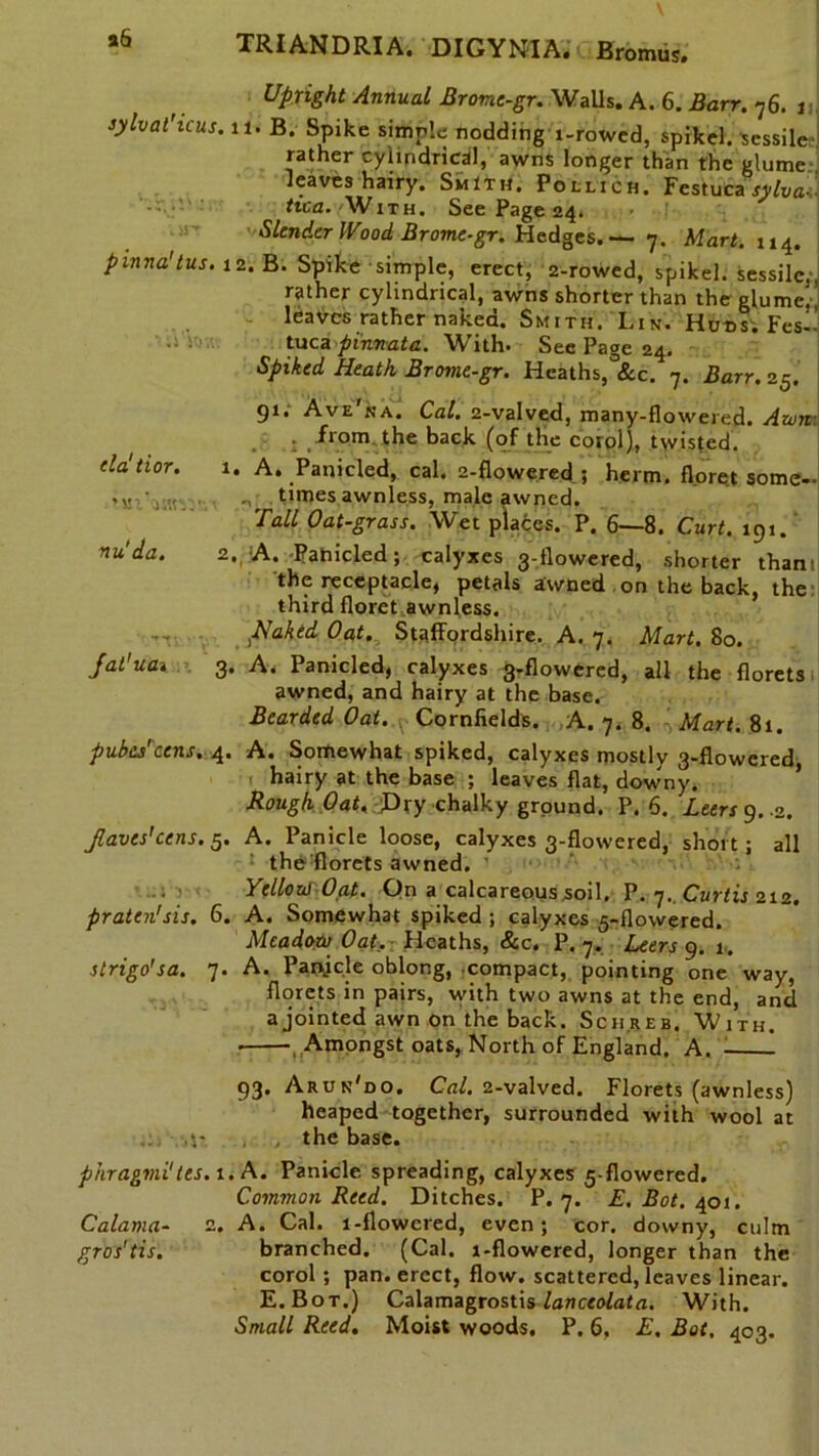 Upright Annual Brome-gr. Walls. A. 6. Barr. 76. 1 sylvat'icus. 11. B. Spike simple nodding 1-rowed, spikel. sessile?! rather cylindrical, awns longer than the glume leaves hairy. Smith. Pollich. Festuca sylval tica. With. See Page 24. !’ Slender Wood Brome-gr. Hedges.— 7. Mart. 114. pinna'tus. 12. B. Spike simple, erect, 2-rowed, spikel. sessile,', rather cylindrical, awns shorter than the glume. leaves rather naked. Smith. Lin. Huns. Fes--’ tuca pinnata. With. See Page 24. Spiked Heath Brome-gr. Heaths,°&c. 7. Barr. 25. 91. Ave'na. Cal. 2-valved, many-flowered. Awn • from the back (of the corol), twisted. elatior. 1. A. Panicled, cal. 2-flowered ; herm. floret some- tsiV.ic. . v times awnless, male awned. Tall Oat-grass. Wet places. P. 6—8. Curt. 191. nu'da. 2., A. Panicled; calyxes 3-flowered, shorter tham the receptacle, petals awned on the back, the third floret awnless. flaked Oat. Staffordshire. A. 7. Mart. 80. Jat'uai 3. A. Panicled, calyxes 3-flowered, all the florets awned, and hairy at the base. Bearded Oat..y Cornfields. A. 7. 8. Mart. 81. pubes'cens. 4. A. Somewhat spiked, calyxes mostly 3-flowered hairy at the base ; leaves flat, downy. Rough Oat./Pxy chalky ground. P.6. Leers g..2. Jlaves'cens. 5. A. Panicle loose, calyxes 3-flowered, short; all the:florets awned. Yellow Oat. On a calcareous soil. P. 7. Curtis 212. praten'sis. 6. A. Somewhat spiked ; calyxes 5-flowered. Meadow Oat. Heaths, &c. P.7. Leers 9. 1. slrigo'sa. 7. A. Panjcle oblong, compact, pointing one way, florets in pairs, with two awns at the end, and a jointed awn on the back. Schreb. With. • Amongst oats, North of England. A. 1 1 93. Arun'do. Cal. 2-valved. Florets (awnless) heaped together, surrounded with wool at .. 4- , , the base. phragmi1 tes. 1. A. Panicle spreading, calyxes 5-flowered. Common Reed. Ditches. P.7. E. Bot. 401. Calama- 2. A. Cal. i-flowcred, even; cor. downy, culm gros’tis. branched. (Cal. l-flowered, longer than the corol ; pan. erect, flow, scattered, leaves linear. E.Bot.) Calamagrostisfonceofatfl. With.