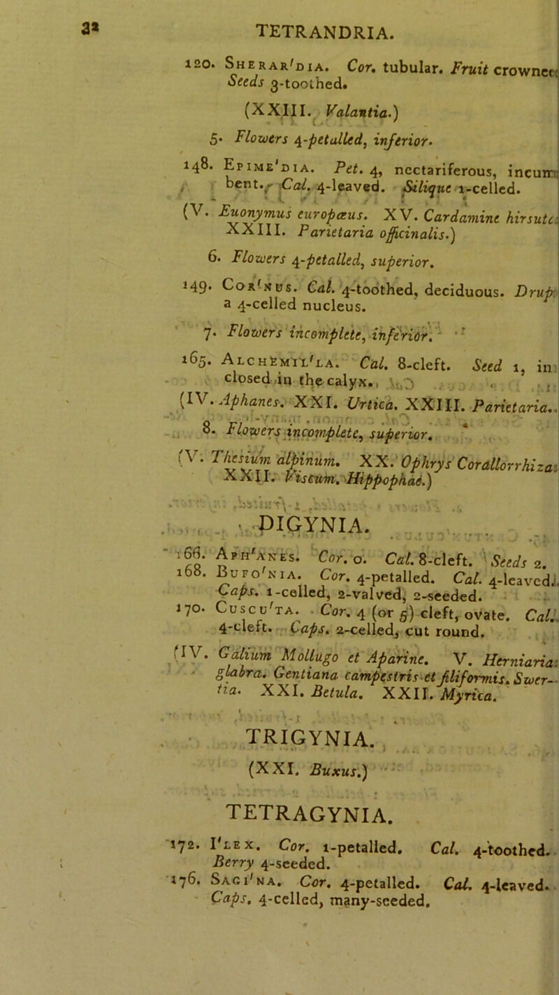 120. Sherar'dia. Cor. tubular. Fruit crownet: Seeds 3-toothed. (XXIII. Valantia.) 5* Flowers 4-petalled, inferior- 148. Epime'dia. Pet. 4, nectariferous, incuir: bent..- -Cal. 4-leaved. Siliquea-celled. ^ : *■ * (V. Euonymus europceus. XV. Cardamine hirsute XXIII. Parietaria officinalis.) 6. Flowers 4-petalled, superior. J49’ Cor xus. Cal. 4-toothed, deciduous. Drup a 4-celled nucleus. 7. Flowers incomplete, inferior. 165. AlchSmil'la. Cal. 8-cleft. Seed 1, in closed,in the calyx., „>3 . . , (IV. Aphants. XXL Urtica. XXIII. Parietaria. or ' . o. I'Lowers incomplete, superior. ry. T/iesium albinum. XX. Ophrys Cor alloy r hi za. XXII. Vis cum. \Hippophae.) .bv/ur-fv! V ■ ... digynia. - v6fl. Ap^a-kes. Cor. o. Cal. 8-cleft. ' Seeds 2. x68. Bufo nia. Cor. 4-petalled. Cal. 4-leavedJ Caps. 1-celled, 2-valved, 2-seeded. 170. Cuscu'ta. Cor. 4 (or 5) cleft, ovate. Cal. 4-cleft. Caps. 2-celled, cut round. f IV. Galium Mollugo et Aparine. V. Herniaria. glabra. Gentiana campestris et filiformis. Swer- ila‘ XXI. Betula. XXII. Myrica. ' ' ' TRIGYNIA. (XXI, Buxus.) tetragynia. 172. I1 lex. Cor. l-petalled. Cal. 4-toothed Berry 4-seeded. 176. Sagi'na. Cor. 4-petalled. Cal. 4-leaved Caps. 4-celled, many-sceded.
