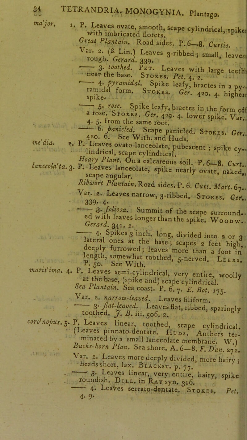 U w major. TETRANDRIA. MONOGYNIA. Plantago. P. Leaves ovate, smooth, scape cylindrical, smkte with imbricated florets. ’ P Gnat Plantain. Roadsides. P.6-,8. Curtis V’rough.'1S. 337“ ■«*« ' 4. pyramidal Spike leafy, bractes in a pV-- ram,dal form. Stokes. ok 4M. 4. higSl. —— 5. rose. Spike leafy, bractes in the form of rose. Stokes. Ger. 420.4. lower spike. Var. 4- 5. from the same root. —- 6. panicltd- Scape panicled. Stokes. Ger. 42o. o. See With, and Huds. me dia. 2, p. Leaves ovato-lanceolate, pubescent ; spike cy. lindncal, scape cylindrical. y 1 r u Hoary Plant. Ona calcareous soil. P.6—8 Curt lanceola ta. 3. P. Leaves lanceolate, spike nearly ovate, naked! scape angular. ’ ’ Ribwort Plantain. Road sides. P. 6. Curt. Mart. 67. Var. 2. Leaves narrow, 3-ribbcd. Stokes. Ger. 339* 41 - - 3.foliosa. Summit of the scape surround, ed with leaves longer than the spike. Woodw. Gerard. 341. 2. — 4. Spikes 3 inch, long, divided into 2 or q lateral ones at the base ; scapes 2 feet high, deeply furrowed; leaves more than a foot in length, somewhat toothed, 5-ncrved. Leers. f. 50. See With. viarit'ima. 4‘ P’,.L1 f semi-cylindrical, very entire, woolly at the base, (spike and) scape cylindrical. tea 1 lantam. Sea coast. P. 6. 7. E. Bot. 175. Var. 2. narrow-leaved. Leaves filiform. ' 3- flat-leaved. Leaves flat, ribbed, sparingly toothed. J. B. iii. 506. 2. K cor o'nopus. $.? Leaves linear, toothed, scape cylindrical. (Leaves pinnato-dentate. Huns. Anthers ter- mraated by a small lanceolate membrane. W ) Bucks-horn Plan. Sea shore. A. 6—8. F. Dan. 272. Var. 2. Leaves more deeply divided, more hairy ; heads short, lax. Blackst. p. 77. • “ ^ncar» very entire, hairy, spike roundish. Dill, in Ray syn. 316. 4. Leaves serrato-dentate. Stokes. Pet 4. 9. )