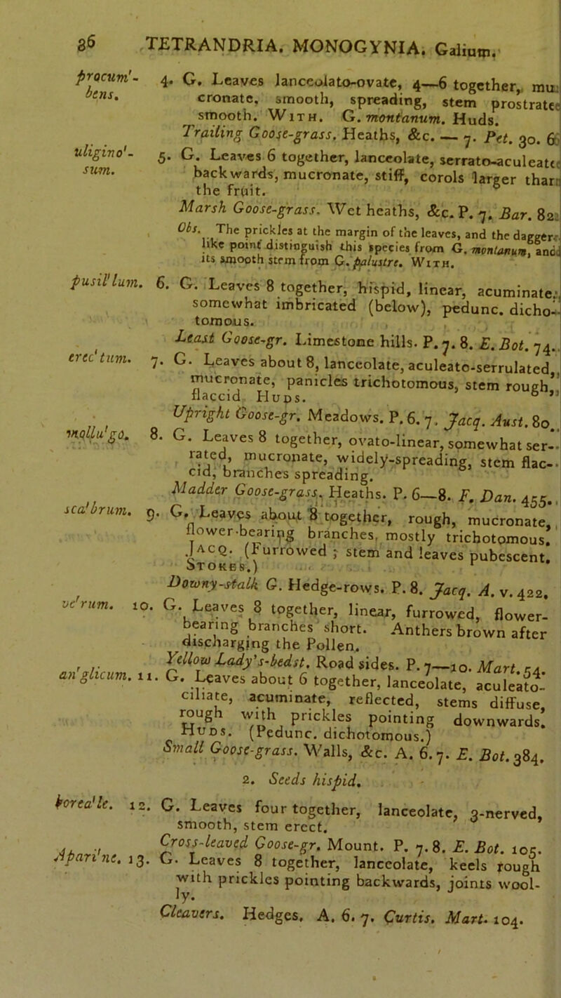 86 T£TRANDRIA. MONOGYNIA. Galium, procuvi'- 4. bens. uligino1- 5. sum. pusiPlum. 6. tree'turn. 7. vwllu’go. 8. sea'brum. 9 vc'rum. 10. an'glicum. 11 hrealle. 12. Apari'ne. 13. G. Leaves lanceolato-ovate, 4—6 together, mu. cronate. smooth, spreading, stem prostratce smooth. With. G. monianum. Huds. Trailing Goose-grass. Heaths, &c 7. Pet. 30. 6 G. Leaves 6 together, lanceolate, serrato-aculeatt backwards, mucronate, stiff, corols larger thar the fruit. Marsh Goose-grass. Wet heaths, &c. P. 7. Bar. 82: Oil. The prickles at the margin of the leaves, and the dagger- like point' distinguish this species from G. monianum. ancl its smooth stem from G.palustrc. With. G. Leaves 8 together, hispid, linear, acuminate; somewhat imbricated (below), pedunc. dichol- tomous. Least Goose-gr. Limestone hills. P. 7. 8. E. Bot. 74. G. Leaves about 8, lanceolate, aculeato-serrulated , mucronate, panicles trichotomous, stem rough* flaccid Hups. 6 ” Upright Goose-gr. Meadows. P. 6. 7. Jqcq. Aust. 80., G. Leaves 8 together, ovato-linear, somewhat ser- med, mucronate, widely-spreading, stem flac- cid, branches spreading. Madder Goose-grass. Heaths. P. 6—8. F. Dan. 455. . G, Leaves about 8 together, rough, mucronate, flower-beanpg branches, mostly trichotomous. Jaco. (burrowed ; stem and leaves pubescent. stokes.) 1 Downy-sialk G. Hedge-rows. P.8. Jacq. A.v.422. G. Leaves 8 together, linear, furrowed, flower- bearing branches short. Anthers brown after discharging the Pollen. Yellow Lady’s-bedst. Road sides. P. 7—10. Mart. c.4. . Leaves about 6 together, lanceolate, aculeato- ciliate, acuminate, reflected, stems diffuse, roug 1 with prickles pointing downwards, nuns. (Pedunc. dichotomous.) Small Goose-grass. Walls, &c. A. 6.7. E. Bot. 384. 2. Seeds hispid, G. Leaves four together, lanceolate, 3-nerved, smooth, stem erect. Cross-leaved Goose-gr. Mount. P. 7.8. E. Bot. 105. G. Leaves 8 together, lanceolate, keels rough with prickles pointing backwards, joints wool- ly.