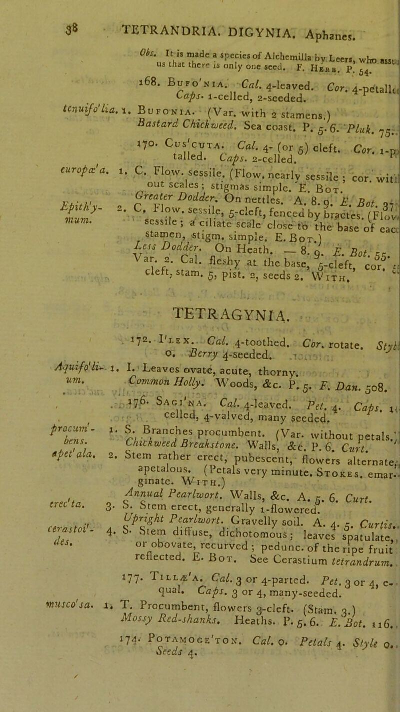 3* tcnuifo'lia, cur op a:' a. EpitKy- vium. Aquifo'li--1 urn. procum’- i. bens. apet'ala. 2. erec'ta. 3. cerastoi'- 4. des. misco'sa. TETRANDRIA. DIGYNIA. Aphanes. l£,is made a *P«‘« of AlchemUla bv Leers, who ass, us that there is only one seed. F. Herb. P.54 168. Bupo'nia. Cat. 4-leaved. Cor. 4-petallc Caps• l-celled, 2-secded. Bufonia.- (Var. with 2 stamens.) Bastard Chick weed. Sea coast. P. 5.6. Pink. 75. xq°. Cus'euxA. Cal. 4- (or 5) cleft. Cor. r-p tailed. Caps. 2-celled. ” C. Flow- sessile. (Flow, nearly sessile; cor wit out scales; stigmas simple. 'E. Bot. crev\r D°dder; °n nettles. A. 8. 9. E. Bot. q7 C. Plow, sessile, 5-cleft, fenced by bractes. (Flov sessile; a ciliate scale close to the base of eao stamen, stigm. simple. E. Bot.) Las Dodder. On Heath. — 8. q F Bot cc Var. e. Cal. fleshy at the base, * cleft, stam. 5, pist. e, seeds 2. With, 1 1. TETRAGYNIA. 172. I'lex Cal. 4-toothed. Cor. rotate. Styi o. Berry 4-seeded. .r. . . I. Leaves ovate, acute, thorny. Common Holly. Woods, &c. P.5. F. Dan. 508. 176. Saci'na. Cal. 4-leaved. Pet. 4. Caps, i celled, 4-valved, many seeded. S. Branches procumbent. (Var. without petals. Chickweed Breakstone. Walls, &c P.6 Curt Stem rather erect, pubescent, flowers alternate apctalous. (1 etals very minute. Stokes, emar- ginate. With.) Annual Pearlwort. Walls, &c. A. 5. 6. Cirri, b. Stem erect, generally i-flowcred. bprzght Pearlwort. Gravelly soil. A. 4. 5. Curtis. S- Stem diffuse, dichotomous; leaves spatulate, or obovate recurved ; pedunc. of the ripe fruit reflected. L. Bot. See Cerastium tetrandrum. 177. Till^'a. Cal. 3 or 4-parted. Pet. 3 or 4, e- qual. Caps. 3 or 4, many-seeded. T Procumbent, flowers 3-cleft. (Stam. 3.) Mossy Redshanks. Heaths. P. 5. 6. E. Bot. 116. 174. Potamoge'tox. Cal. o. Petals 4. Style 0. Seeds 4.