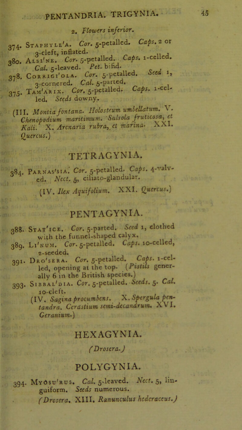 374* 38°. 378' 375' 2. Flowers inferior. Staphyle'a. Cor. 5-petalled. Caps. 2 or q-cleft, inflated. , Alsi'ne. Cor. 5-petalled. Caps, 1-cellcd. Cal. 5-leaved. Pet. bifid. Corrigi'ola. Cor. 5-petalled. Seed 1, q-cornered. Cal. 5-parted. Tam'ari x. Cor. 5-petalled. Caps. 1 -cel- led. Sredr downy. (III. Montiafontana. IMosteum vmlellatum. \. Chenopodium mantimum. Salsola fruticosa,et Kali. X. Arcnaria rubra, et marina• XXI. Quercus.) TETRAGYN1A. 384. Parnas's 1 a. Cor. 5-petalled. Caps. 4-valv- ed. Nect. 5, cilia to-glandular. (IV. Ilex Aquifolium. XXI. Quercus.) PENTAGYNIA. 388. Stat'ice. Cor. 5-parted. Seed 1, clothed with the funnel-shaped calyx. 389. Li'num. Cor. 5-petalled. Caps. to-celled, 2-seeded. 391. Dro'sera. Cor. 5-petalled. Caps, l-cel- led, opening at the top- (Pistils gener- ally 6 in the British species.) 393. Sibbal'dia. Cor. 5-petalled. Seeds. 5. Cal. 10-cleft. (IV. Saginaprocumbens. X. Spergula pen- tandra. Cerastium semi-decandrum. XVI. Geranium.) HEXAGYNIA. ( Dr 0 sera.) POLYGYNIA. 394. MyOsu'rus. Cal. 5-leaved. Nect. 5, iin- guiform. Seeds numerous.