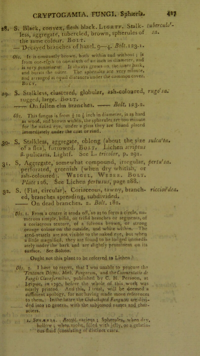 *8. S. Black, convex, flesh black. Ligktf. Stalk- tubercuL'- less, aggregate, tubercled, brown, spherules of sa. the same colour. Bo i t. — Decayed branches of hazel, g—4. Bolt. 123.1. Obs. It is constantly brown, both within and without ; is from one-eigih to ope-«ixth of an inch in diameter, and is very piamincnt If always grows on toe inner hat k, and bursts the outer. The spherules are very minute, and ai ranged at ctjual distances under the common cover. Bolt, , dp. S. Stalkless, clustered, globular, ash-coloured, rugo'sa. rugged, large. Bolt. ,—m On fallen ehn branches. Bolt. 123.2. Obs. This fungus is from \ to 4 inch in diameter, is as hard as wood, and brown within, the spherules arc too minute for he naked eye, under a glass they are found placed immediately under the coat or rind. 30. S. Stalklcss, aggregate, oblong (about the size sulca'ta. of a flea), furrowed. Bolt. Lichen scriptus 0. pulicaris. Lightf. See L. tricolor, p. 291. 31. S, Aggregate, somewhat compound, irregular, pertu'sa. perforated, greenish (when dry whitish, or ash-coloured). Weigel, Weber. Bolt. Plate 126. 6ee Lichen pertusus, page 288. 32. S. (Flat, circular). Coriaceous, tawny, branch- riccioi'dea. ed, branches spreading, subdivided. On dead branches. 2. Bolt. 182. Obs. 1. From a centre it sends off,'so as to form a circle, nu- merous simple, bifid, or trifid branches or segments, of a coriaceous texture, of a fulvous brown, or strong orange colour on the outside, and white within. 1 he seed-vessels are not visible to the naked eye, but when a little magnified, they arc found to be lodged immedi- ately under the hark and are slightly prominent on its surface. See Bolton. Ought not this plant to be referred to Lichen ? Obs. 2. 1 have to regret, that I was unable to procure th' ‘Tcntamcn Dispos. Metk. Pungortim, and the ComvtenUlin is Fungis C/avaJiirmibu<, published bv C. H. Persoon, at Lcipsic, in 1797, before the yvhole of this work was nearly printed And this, I trust, will be deemed a sufficient apology, for not having made more references to them. In the latter the Club-shaped Funguses are divi- ded into to genera, with the subjoined names and char- acters. 1. Sph/sria. Reccpt. various ; Spherules, when drv, hollow ; wheiEUioist, filled with jelly, or a gelatin- ous fluid (consisting of distinct cases.