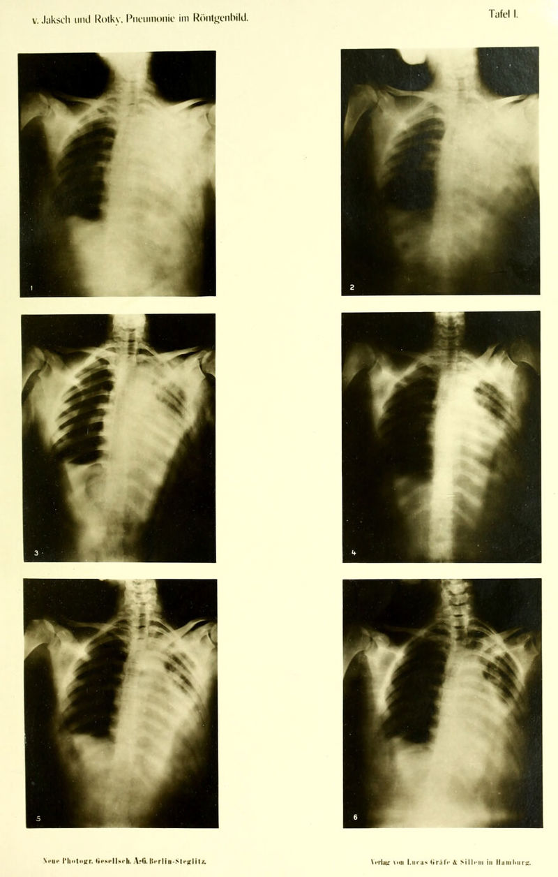 Nfiie riii>ti>ifr. Arfi. Ui‘rliii-S|c|{lit/.