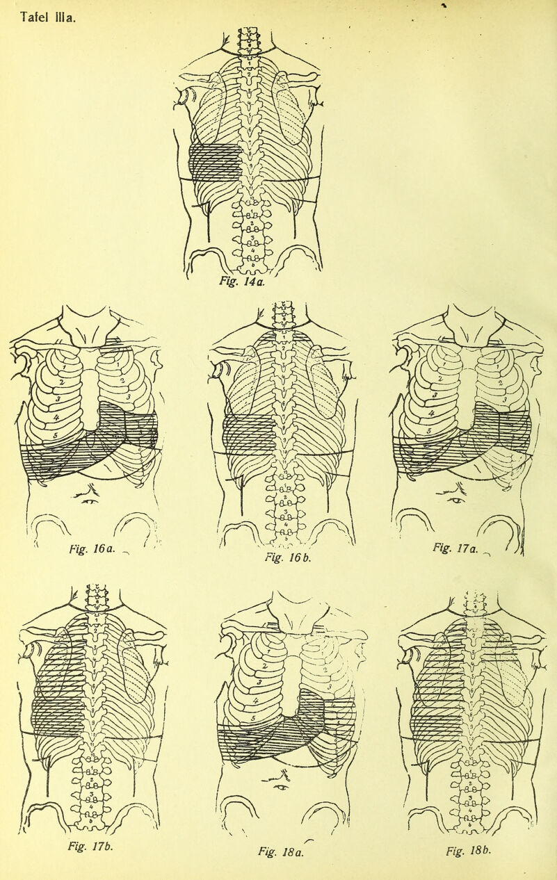 Fig. 14 a. Fig. 16 a. ^ ^