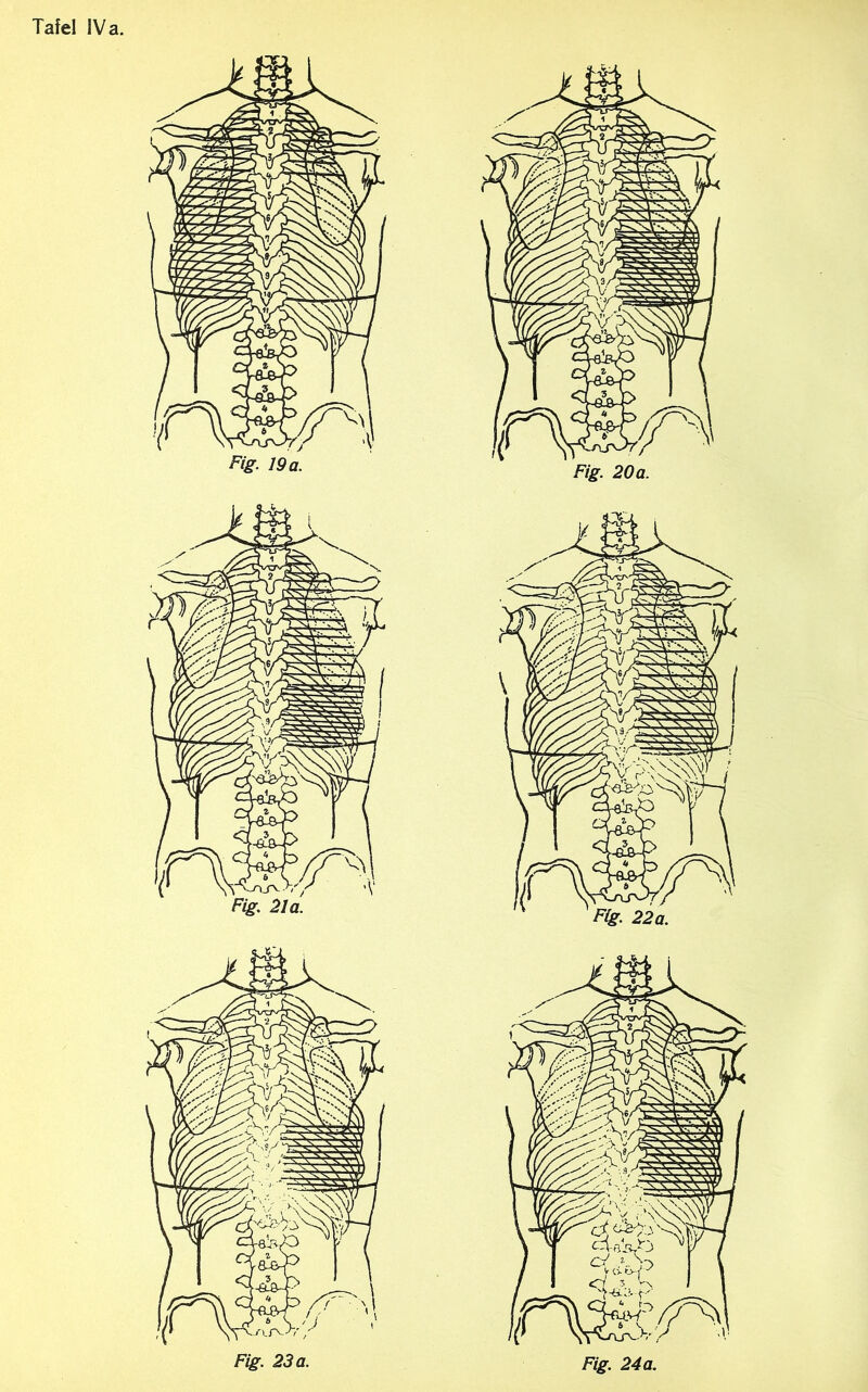 Fig. 21 a. Flg. 22a.