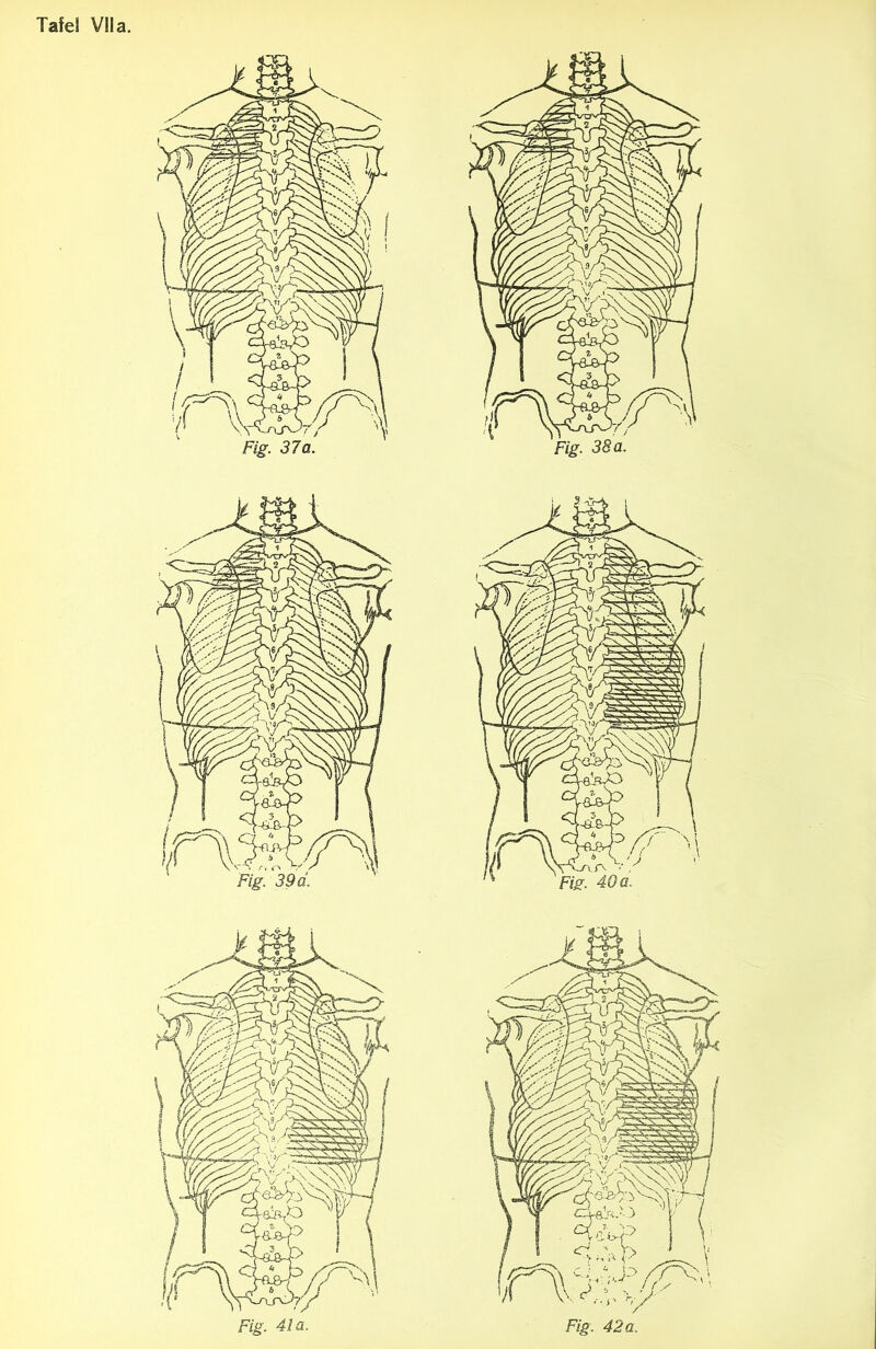 w Fig. 39 d Fig. 40 a. ''IV> V : 13 /y^o ’