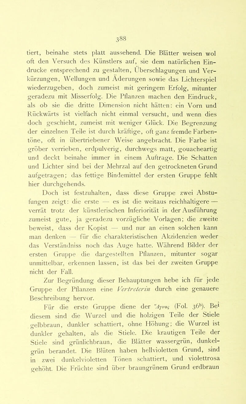 tiert, beinahe stets platt aussehend. Die Blatter weisen wol oft den Versuch des Kiinstlers auf, sie dem naturlichen Ein- drucke entsprechend zu gestalten, Uberschlagungen und Ver- kiirzungen, Wellungen und Aderungen sowie das Lichterspiel wiederzugeben, doch zumeist mit geringem Erfolg, mitunter geradezu mit Misserfolg. Die Pflanzen machen den Eindruck, ais ob sie die dritte Dimension nicht hatten: ein Vorn und Riickwarts ist vielfach nicht einmal versucht, und wenn dies doch geschieht, zumeist mit weniger Gliick. Die Begrenzung der einzelnen Teile ist durch kriiftige, oft ganz fremde Earben- tbne, oft in iibertriebener Weise angebracht. Die Earbe ist grbber verrieben, erdpulverig, durchwegs matt, gouacheartig und deckt beinahe immer in einem Auftrage. Die Schatten und Eichter sind bei der Mehrzal auf den getrockneten Grund aufgetragen; das fettige Bindemittel der ersten Gruppe fehlt hier durchgehends. Doch ist festzuhalten, dass diese Gruppe zwei Abstu- fungen zeigt: die erste — es ist die weitaus reichhaltigere — verrat trotz der kiinstlerischen Inferioritiit in der Ausfiihrung zumeist gute, ja geradezu vorziigliche Vorlagen; die zweite beweist, dass der Kopist — und nur an einen solchen kann man denken — fiir die charakteristischen Akzidenzien weder das Verstiindniss noch das Auge hatte. Wiihrend Bilder der ersten Gruppe die dargestellten Pilanzen, mitunter sogar unmittelbar, erkennen lassen, ist das bei der zweiten Gruppe nicht der Eall. Zur Begriindung dieser Behauptungen hebe ich fiir jede Gruppe der Pflanzen eine Vertreterin durch eine genauere Beschreibung hervor. Eur die erste Gruppe diene der Ayvog (Eoi. 36’’). Be^ diesem sind die Wurzel und die holzigen Teile der Stiele gelbbraun, dunkler schattiert, ohne Hohung; die Wurzel ist dunkler gehalten, ais die Stiele. Die krautigen Teile der Stiele sind grilnlichbraun, die Blatter wassergriin, dunkel- griin berandet. Die Bliiten haben hellvioletten Grund, sind in zwei dunkelvioletten Tbnen schattiert, und violettrosa gehbht. Die Eruchte sind uber braungriinem Grund erdbraun