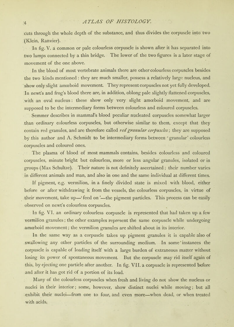 cuts through the whole depth of the substance, and thus divides the corpuscle into two (Klein, Ranvier). In fig. V. a common or pale colourless corpuscle is shown after it has separated into two lumps connected by a thin bridge. The lower of the two figures is a later stage of movement of the one above. In the blood of most vertebrate animals there are other colourless corpuscles besides the two kinds mentioned : they are much smaller, possess a relatively large nucleus, and show only slight amoeboid movement. They represent corpuscles not yet fully developed. In newt’s and frog’s blood there are, in addition, oblong pale slightly flattened corpuscles, with an oval nucleus: these show only very slight amoeboid movement, and are supposed to be the intermediary forms between colourless and coloured corpuscles. Semmer describes in mammal’s blood peculiar nucleated corpuscles somewhat larger than ordinary colourless corpuscles, but otherwise similar to them, except that they contain red granules, and are therefore called red granular corpuscles', they are supposed by this author and A. Schmidt to be intermediary forms between ‘granular’ colourless corpuscles and coloured ones. The plasma of blood of most mammals contains, besides colourless and coloured corpuscles, minute bright but colourless, more or less angular granules, isolated or in groups (Max Schultze). Their nature is not definitely ascertained ; their number varies in different animals and man, and also in one and the same individual at different times. If pigment, e.g. vermilion, in a finely divided state is mixed with blood, either before or after withdrawing it from the vessels, the colourless corpuscles, in virtue of their movement, take up—‘ feed on ’—the pigment particles. This process can be easily observed on newt’s colourless corpuscles. In fig. VI. an ordinary colourless corpuscle is represented that had taken up a few vermilion granules ; the other examples represent the same corpuscle while undergoing amoeboid movement; the vermilion granules are shifted about in its interior. In the same way as a corpuscle takes up pigment granules it is capable also of swallowing any other particles of the surrounding medium. In some' instances the corpuscle is capable of loading itself with a large burden of extraneous matter without losing its power of spontaneous movement. But the corpuscle may rid itself again of this, by ejecting one particle after another. In fig. VII. a corpuscle is represented before and after it has got rid of a portion of its load. Many of the colourless corpuscles when fresh and living do not show the nucleus or nuclei in their interior; some, however, show distinct nuclei while moving; but all exhibit their nuclei—from one to four, and even more—when dead, or when treated with acids.