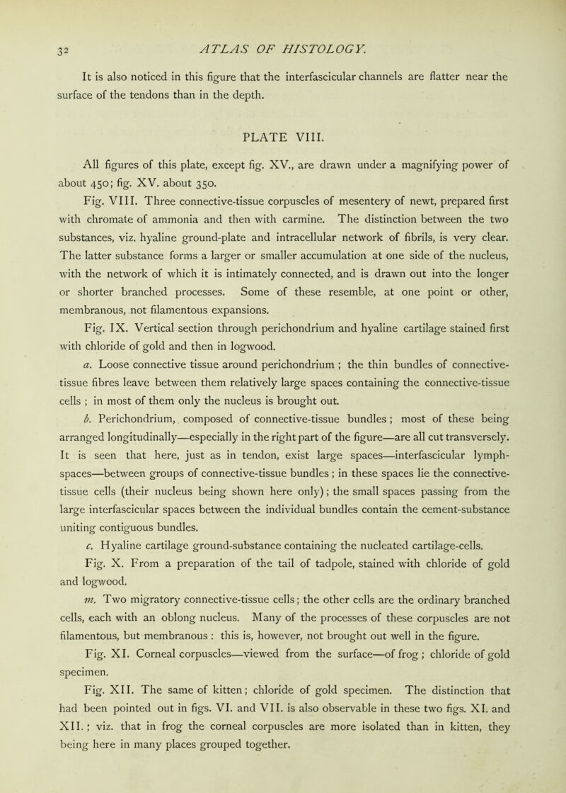 It is also noticed in this figure that the interfascicular channels are flatter near the surface of the tendons than in the depth. PLATE VIII. All figures of this plate, except fig. XV., are drawn under a magnifying power of about 450; fig. XV. about 350. Fig. VIII. Three connective-tissue corpuscles of mesentery of newt, prepared first with chromate of ammonia and then with carmine. The distinction between the two substances, viz. hyaline ground-plate and intracellular network of fibrils, is very clear. The latter substance forms a larger or smaller accumulation at one side of the nucleus, with the network of which it is intimately connected, and is drawn out into the longer or shorter branched processes. Some of these resemble, at one point or other, membranous, not filamentous expansions. Fig. IX. Vertical section through perichondrium and hyaline cartilage stained first with chloride of gold and then in logwood. a. Loose connective tissue around perichondrium ; the thin bundles of connective- tissue fibres leave between them relatively large spaces containing the connective-tissue cells ; in most of them only the nucleus is brought out. b. Perichondrium, composed of connective-tissue bundles ; most of these being arranged longitudinally—especially in the right part of the figure—are all cut transversely. It is seen that here, just as in tendon, exist large spaces—interfascicular lymph- spaces—between groups of connective-tissue bundles ; in these spaces lie the connective- tissue cells (their nucleus being shown here only); the small spaces passing from the large interfascicular spaces between the individual bundles contain the cement-substance uniting contiguous bundles. c. Hyaline cartilage ground-substance containing the nucleated cartilage-cells. Fig. X. From a preparation of the tail of tadpole, stained with chloride of gold and logwood. in. Two migratory connective-tissue cells; the other cells are the ordinary branched cells, each with an oblong nucleus. Many of the processes of these corpuscles are not filamentous, but membranous : this is, however, not brought out well in the figure. Fig. XI. Corneal corpuscles—viewed from the surface—of frog ; chloride of gold specimen. Fig. XII. The same of kitten; chloride of gold specimen. The distinction that had been pointed out in figs. VI. and VII. is also observable in these two figs. XI. and XII. ; viz. that in frog the corneal corpuscles are more isolated than in kitten, they being here in many places grouped together.