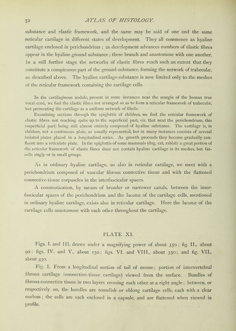 substance and elastic framework, and the same may be said of one and the same reticular cartilage in different states of development. They all commence as hyaline cartilage enclosed in perichondrium ; as development advances numbers of elastic fibres appear in the hyaline ground substance ; these branch and anastomose with one another. In a still further stage the networks of elastic fibres reach such an extent that they constitute a conspicuous part of the ground-substance, forming the network of trabeculae, as described above. The hyaline cartilage-substance is now limited only to the meshes of the reticular framework containing the cartilage cells. In the cartilaginous nodule, present in some instances near the margin of the human true vocal cord, we find the elastic fibres not arranged so as to form a reticular framework of trabeculae, but permeating the cartilage as a uniform network of fibrils. Examining sections through the epiglottis of children, we find the reticular framework of clastic fibres not reaching quite up to the superficial part, viz. that next the perichondrium, this (superficial part) being still almost entirely composed of hyaline substance. The cartilage is, in children, not a continuous plate, as usually represented, but in many instances consists of several isolated plates placed in a longitudinal series. As growth proceeds they become gradually con- fluent into a reticulate plate. In the epiglottis of some mammals (dog, cat, rabbit) a great portion of the icticular framework of elastic fibres does not contain hyaline cartilage in its meshes, but fat- cells singly or in small groups. As in ordinary hyaline cartilage, so also in reticular cartilage, we meet with a perichondrium composed of vascular fibrous connective tissue and with the flattened connective-tissue corpuscles in the interfascicular spaces. A communication, by means of broader or narrower canals, between the inter- fascicular spaces of the perichondrium and the lacunte of the cartilage cells, mentioned in ordinary hyaline cartilage, exists also in reticular cartilage. Here the lacunae of the cartilage cells anastomose with each other throughout the cartilage. PLATE XI. Figs. I. and III. drawn under a magnifying power of about 350; fig. II., about 90; figs. IV. and V., about 150; figs, VI. and VIII., about 350; and fig. VII., about 450. Fig. I. From a longitudinal section of tail of mouse; portion of intervertebral fibrous cartilage (connective-tissue cartilage) viewed from the surface. Bundles of fibrous-connective tissue in two layers crossing each other at a right angle; between, or respectively on, the bundles are roundish or oblong cartilage cells, each with a clear nucleus ; the cells are each enclosed in a capsule, and are flattened when viewed in profile.