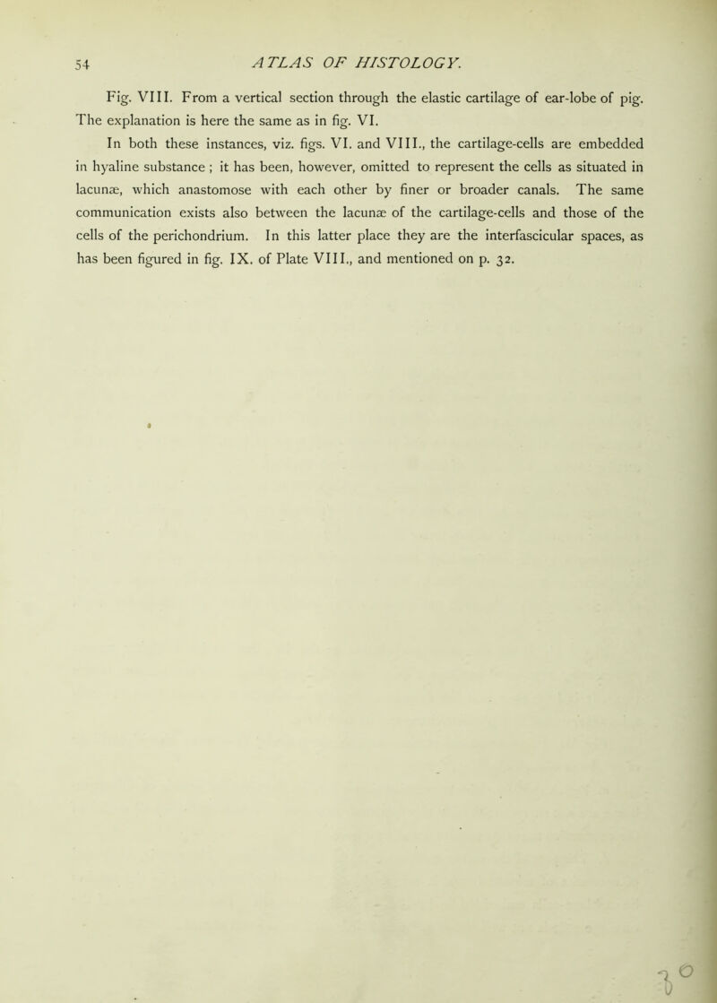 Fig. VIII. From a vertical section through the elastic cartilage of ear-lobe of pig. The explanation is here the same as in fig. VI. In both these instances, viz. figs. VI. and VIII., the cartilage-cells are embedded in hyaline substance ; it has been, however, omitted to represent the cells as situated in lacunae, which anastomose with each other by finer or broader canals. The same communication exists also between the lacunae of the cartilage-cells and those of the cells of the perichondrium. In this latter place they are the interfascicular spaces, as has been figured in fig. IX. of Plate VIII., and mentioned on p. 32.