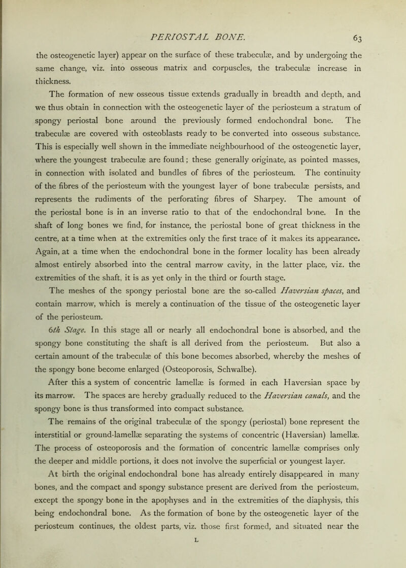 the osteogenetic layer) appear on the surface of these trabeculae, and by undergoing the same change, viz. into osseous matrix and corpuscles, the trabeculae increase in thickness. The formation of new osseous tissue extends gradually in breadth and depth, and we thus obtain in connection with the osteogenetic layer of the periosteum a stratum of spongy periostal bone around the previously formed endochondral bone. The trabeculae are covered with osteoblasts ready to be converted into osseous substance. This is especially well shown in the immediate neighbourhood of the osteogenetic layer, where the youngest trabeculae are found; these generally originate, as pointed masses, in connection with isolated and bundles of fibres of the periosteum. The continuity of the fibres of the periosteum with the youngest layer of bone trabeculae persists, and represents the rudiments of the perforating fibres of Sharpey. The amount of the periostal bone is in an inverse ratio to that of the endochondral bone. In the shaft of long bones we find, for instance, the periostal bone of great thickness in the centre, at a time when at the extremities only the first trace of it makes its appearance. Again, at a time when the endochondral bone in the former locality has been already almost entirely absorbed into the central marrow cavity, in the latter place, viz. the extremities of the shaft, it is as yet only in the third or fourth stage. The meshes of the spongy periostal bone are the so-called Haversian spaces, and contain marrow, which is merely a continuation of the tissue of the osteogenetic layer of the periosteum. 6th Stage. In this stage all or nearly all endochondral bone is absorbed, and the spongy bone constituting the shaft is all derived from the periosteum. But also a certain amount of the trabeculae of this bone becomes absorbed, whereby the meshes of the spongy bone become enlarged (Osteoporosis, Schwalbe). After this a system of concentric lamellae is formed in each Haversian space by its marrow. The spaces are hereby gradually reduced to the Haversian canals, and the spongy bone is thus transformed into compact substance. The remains of the original trabeculae of the spongy (periostal) bone represent the interstitial or ground-lamellae separating the systems of concentric (Haversian) lamellae. The process of osteoporosis and the formation of concentric lamellae comprises only the deeper and middle portions, it does not involve the superficial or youngest layer. At birth the original endochondral bone has already entirely disappeared in many bones, and the compact and spongy substance present are derived from the periosteum, except the spongy bone in the apophyses and in the extremities of the diaphysis, this being endochondral bone. As the formation of bone by the osteogenetic layer of the periosteum continues, the oldest parts, viz. those first formed, and situated near the L