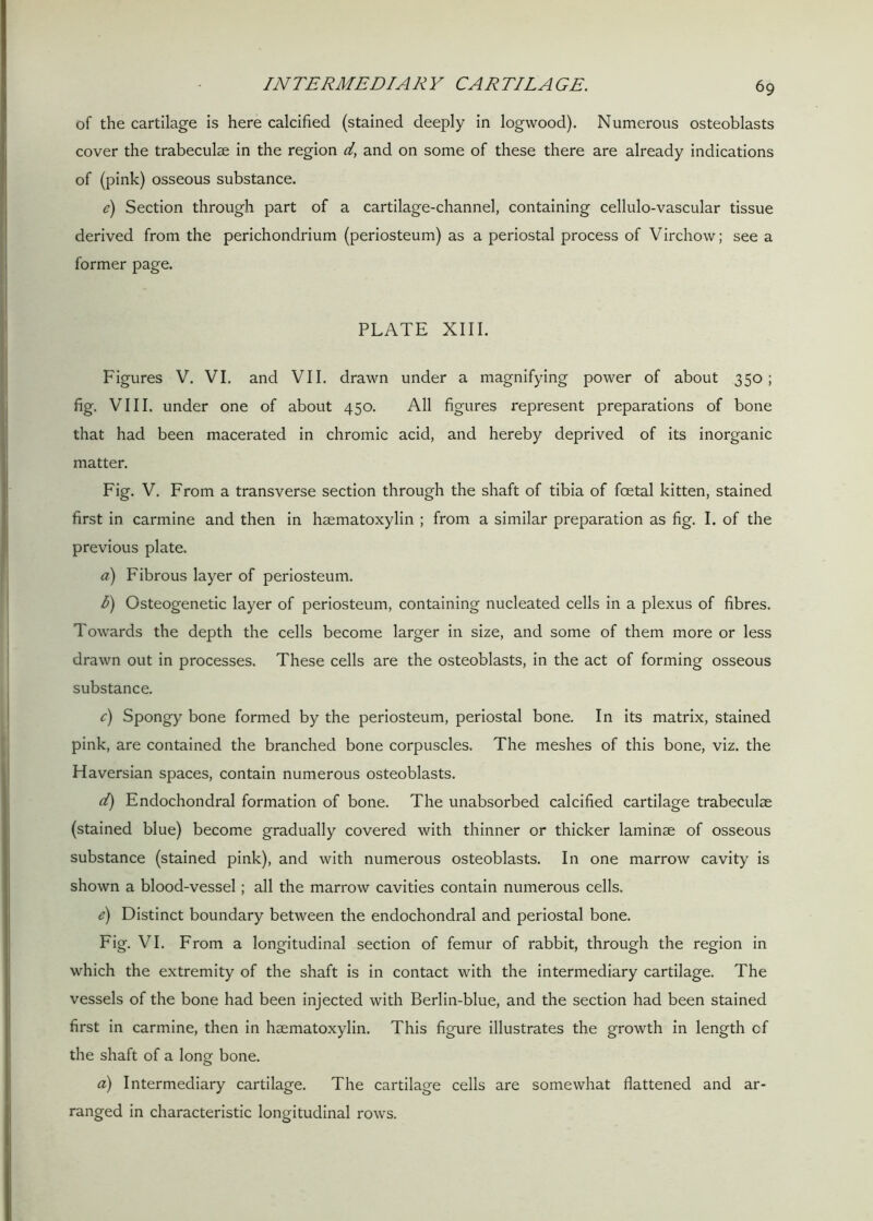 of the cartilage is here calcified (stained deeply in logwood). Numerous osteoblasts cover the trabeculae in the region d, and on some of these there are already indications of (pink) osseous substance. e) Section through part of a cartilage-channel, containing cellulo-vascular tissue derived from the perichondrium (periosteum) as a periostal process of Virchow; see a former page. PLATE XIII. Figures V. VI. and VII. drawn under a magnifying power of about 350; fig. VIII. under one of about 450. All figures represent preparations of bone that had been macerated in chromic acid, and hereby deprived of its inorganic matter. Fig. V. From a transverse section through the shaft of tibia of foetal kitten, stained first in carmine and then in haematoxylin ; from a similar preparation as fig. I. of the previous plate. a) Fibrous layer of periosteum. I) Osteogenetic layer of periosteum, containing nucleated cells in a plexus of fibres. Towards the depth the cells become larger in size, and some of them more or less drawn out in processes. These cells are the osteoblasts, in the act of forming osseous substance. c) Spongy bone formed by the periosteum, periostal bone. In its matrix, stained pink, are contained the branched bone corpuscles. The meshes of this bone, viz. the Haversian spaces, contain numerous osteoblasts. d) Endochondral formation of bone. The unabsorbed calcified cartilage trabeculae (stained blue) become gradually covered with thinner or thicker laminae of osseous substance (stained pink), and with numerous osteoblasts. In one marrow cavity is shown a blood-vessel; all the marrow cavities contain numerous cells. e) Distinct boundary between the endochondral and periostal bone. Fig. VI. From a longitudinal section of femur of rabbit, through the region in which the extremity of the shaft is in contact with the intermediary cartilage. The vessels of the bone had been injected with Berlin-blue, and the section had been stained first in carmine, then in haematoxylin. This figure illustrates the growth in length cf the shaft of a long bone. a) Intermediary cartilage. The cartilage cells are somewhat flattened and ar- ranged in characteristic longitudinal rows.