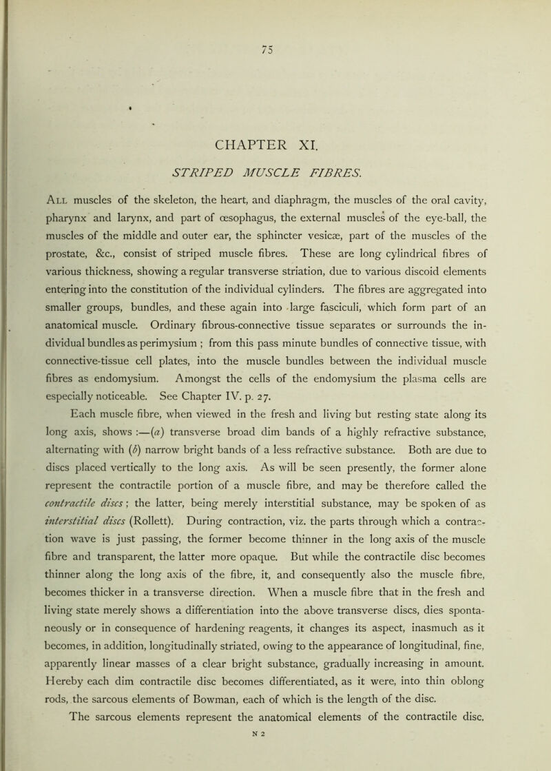 CHAPTER XI. STRIPED MUSCLE FIBRES. All muscles of the skeleton, the heart, and diaphragm, the muscles of the oral cavity, pharynx and larynx, and part of oesophagus, the external muscles of the eye-ball, the muscles of the middle and outer ear, the sphincter vesicae, part of the muscles of the prostate, &c., consist of striped muscle fibres. These are long cylindrical fibres of various thickness, showing a regular transverse striation, due to various discoid elements entering into the constitution of the individual cylinders. The fibres are aggregated into smaller groups, bundles, and these again into -large fasciculi, which form part of an anatomical muscle. Ordinary fibrous-connective tissue separates or surrounds the in- dividual bundles as perimysium ; from this pass minute bundles of connective tissue, with connective-tissue cell plates, into the muscle bundles between the individual muscle fibres as endomysium. Amongst the cells of the endomysium the plasma cells are especially noticeable. See Chapter IV. p. 27. Each muscle fibre, when viewed in the fresh and living but resting state along its long axis, shows :—(a) transverse broad dim bands of a highly refractive substance, alternating with (b) narrow bright bands of a less refractive substance. Both are due to discs placed vertically to the long axis. As will be seen presently, the former alone represent the contractile portion of a muscle fibre, and may be therefore called the contractile discs; the latter, being merely interstitial substance, may be spoken of as interstitial discs (Rollett). During contraction, viz. the parts through which a contrac- tion wave is just passing, the former become thinner in the long axis of the muscle fibre and transparent, the latter more opaque. But while the contractile disc becomes thinner along the long axis of the fibre, it, and consequently also the muscle fibre, becomes thicker in a transverse direction. When a muscle fibre that in the fresh and living state merely shows a differentiation into the above transverse discs, dies sponta- neously or in consequence of hardening reagents, it changes its aspect, inasmuch as it becomes, in addition, longitudinally striated, owing to the appearance of longitudinal, fine, apparently linear masses of a clear bright substance, gradually increasing in amount. Hereby each dim contractile disc becomes differentiated, as it were, into thin oblong rods, the sarcous elements of Bowman, each of which is the length of the disc. The sarcous elements represent the anatomical elements of the contractile disc. N 2