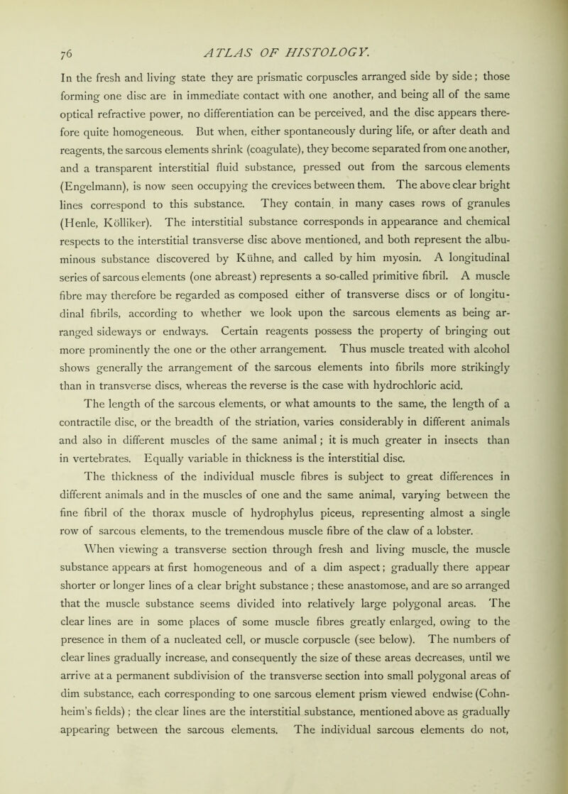 In the fresh and living state they are prismatic corpuscles arranged side by side; those forming one disc are in immediate contact with one another, and being all of the same optical refractive power, no differentiation can be perceived, and the disc appears there- fore quite homogeneous. But when, either spontaneously during life, or after death and reagents, the sarcous elements shrink (coagulate), they become separated from one another, and a transparent interstitial fluid substance, pressed out from the sarcous elements (Engelmann), is now seen occupying the crevices between them. The above clear bright lines correspond to this substance. They contain, in many cases rows of granules (Henle, Kolliker). The interstitial substance corresponds in appearance and chemical respects to the interstitial transverse disc above mentioned, and both represent the albu- minous substance discovered by Kuhne, and called by him myosin. A longitudinal series of sarcous elements (one abreast) represents a so-called primitive fibril. A muscle fibre may therefore be regarded as composed either of transverse discs or of longitu- dinal fibrils, according to whether we look upon the sarcous elements as being ar- ranged sideways or endways. Certain reagents possess the property of bringing out more prominently the one or the other arrangement. Thus muscle treated with alcohol shows generally the arrangement of the sarcous elements into fibrils more strikingly than in transverse discs, whereas the reverse is the case with hydrochloric acid. The length of the sarcous elements, or what amounts to the same, the length of a contractile disc, or the breadth of the striation, varies considerably in different animals and also in different muscles of the same animal; it is much greater in insects than in vertebrates. Equally variable in thickness is the interstitial disc. The thickness of the individual muscle fibres is subject to great differences in different animals and in the muscles of one and the same animal, varying between the fine fibril of the thorax muscle of hydrophylus piceus, representing almost a single row of sarcous elements, to the tremendous muscle fibre of the claw of a lobster. When viewing a transverse section through fresh and living muscle, the muscle substance appears at first homogeneous and of a dim aspect; gradually there appear shorter or longer lines of a clear bright substance ; these anastomose, and are so arranged that the muscle substance seems divided into relatively large polygonal areas. The clear lines are in some places of some muscle fibres greatly enlarged, owing to the presence in them of a nucleated cell, or muscle corpuscle (see below). The numbers of clear lines gradually increase, and consequently the size of these areas decreases, until we arrive at a permanent subdivision of the transverse section into small polygonal areas of dim substance, each corresponding to one sarcous element prism viewed endwise (Cohn- heim’s fields); the clear lines are the interstitial substance, mentioned above as gradually appearing between the sarcous elements. The individual sarcous elements do not,