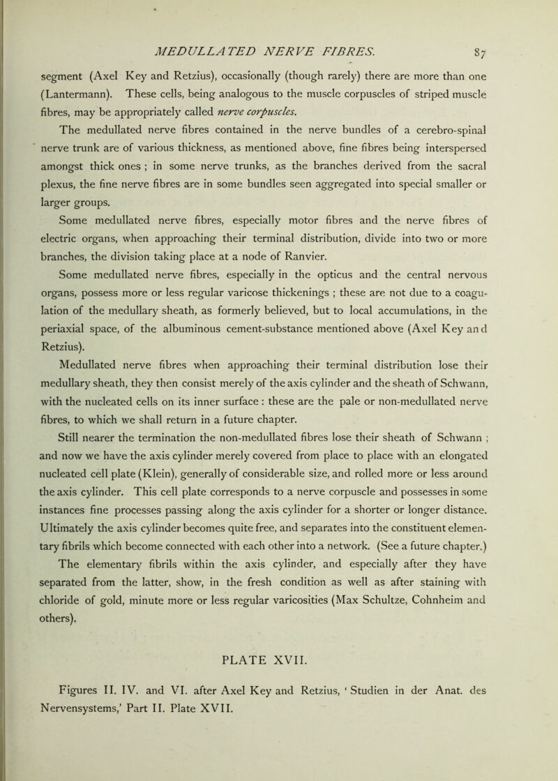 segment (Axel Key and Retzius), occasionally (though rarely) there are more than one (Lantermann). These cells, being analogous to the muscle corpuscles of striped muscle fibres, may be appropriately called nerve corpuscles. The medullated nerve fibres contained in the nerve bundles of a cerebro-spinal nerve trunk are of various thickness, as mentioned above, fine fibres being interspersed amongst thick ones ; in some nerve trunks, as the branches derived from the sacral plexus, the fine nerve fibres are in some bundles seen aggregated into special smaller or larger groups. Some medullated nerve fibres, especially motor fibres and the nerve fibres of electric organs, when approaching their terminal distribution, divide into two or more branches, the division taking place at a node of Ranvier. Some medullated nerve fibres, especially in the opticus and the central nervous organs, possess more or less regular varicose thickenings ; these are not due to a coagu- lation of the medullary sheath, as formerly believed, but to local accumulations, in the periaxial space, of the albuminous cement-substance mentioned above (Axel Key and Retzius). Medullated nerve fibres when approaching their terminal distribution lose their medullary sheath, they then consist merely of the axis cylinder and the sheath of Schwann, with the nucleated cells on its inner surface: these are the pale or non-medullated nerve fibres, to which we shall return in a future chapter. Still nearer the termination the non-medullated fibres lose their sheath of Schwann ; and now we have the axis cylinder merely covered from place to place with an elongated nucleated cell plate (Klein), generally of considerable size, and rolled more or less around the axis cylinder. This cell plate corresponds to a nerve corpuscle and possesses in some instances fine processes passing along the axis cylinder for a shorter or longer distance. Ultimately the axis cylinder becomes quite free, and separates into the constituent elemen- tary fibrils which become connected with each other into a network. (See a future chapter.) The elementary fibrils within the axis cylinder, and especially after they have separated from the latter, show, in the fresh condition as well as after staining with chloride of gold, minute more or less regular varicosities (Max Schultze, Cohnheim and others). PLATE XVII. Figures II. IV. and VI. after Axel Key and Retzius, ‘ Studien in der Anat. des Nervensystems/ Part II. Plate XVII.