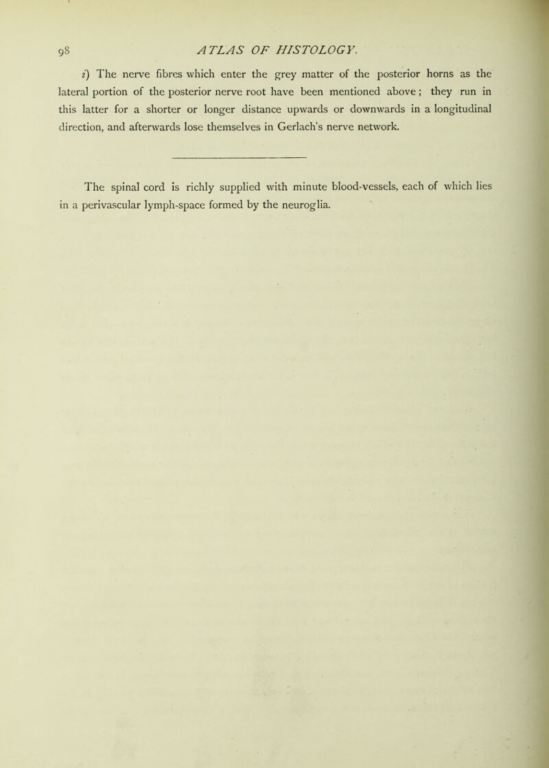 i) The nerve fibres which enter the grey matter of the posterior horns as the lateral portion of the posterior nerve root have been mentioned above; they run in this latter for a shorter or longer distance upwards or downwards in a longitudinal direction, and afterwards lose themselves in Gerlach’s nerve network. The spinal cord is richly supplied with minute blood-vessels, each of which lies in a perivascular lymph-space formed by the neuroglia.