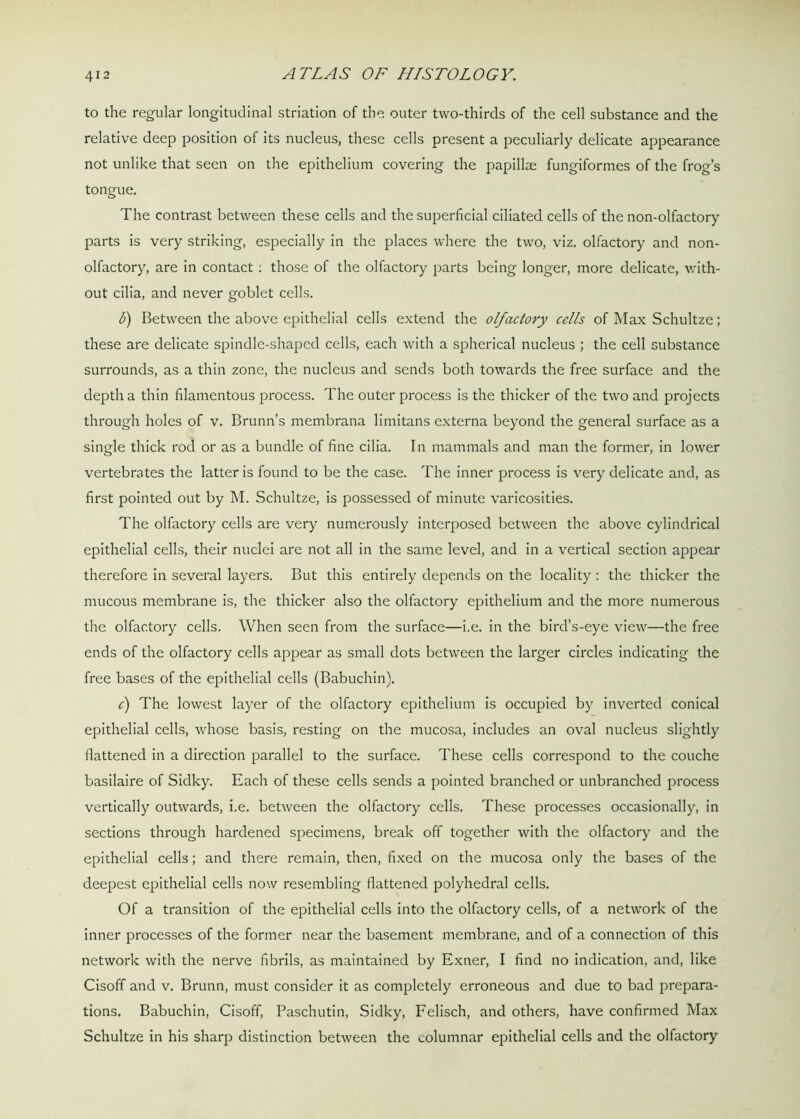 to the regular longitudinal striation of the outer two-thirds of the cell substance and the relative deep position of its nucleus, these cells present a peculiarly delicate appearance not unlike that seen on the epithelium covering the papillae fungiformes of the frog’s tongue. The contrast between these cells and the superficial ciliated cells of the non-olfactory parts is very striking, especially in the places where the two, viz. olfactory and non- olfactory, are in contact : those of the olfactory parts being longer, more delicate, with- out cilia, and never goblet cells. 6) Between the above epithelial cells extend the olfactory cells of Max Schultze; these are delicate spindle-shaped cells, each with a spherical nucleus ; the cell substance surrounds, as a thin zone, the nucleus and sends both towards the free surface and the depth a thin filamentous process. The outer process is the thicker of the two and projects through holes of v. Brunn’s membrana limitans externa beyond the general surface as a single thick rod or as a bundle of fine cilia. In mammals and man the former, in lower vertebrates the latter is found to be the case. The inner process is very delicate and, as first pointed out by M. Schultze, is possessed of minute varicosities. The olfactory cells are very numerously interposed between the above cylindrical epithelial cells, their nuclei are not all in the same level, and in a vertical section appear therefore in several layers. But this entirely depends on the locality: the thicker the mucous membrane is, the thicker also the olfactory epithelium and the more numerous the olfactory cells. When seen from the surface—i.e. in the bird’s-eye view—the free ends of the olfactory cells appear as small dots between the larger circles indicating the free bases of the epithelial cells (Babuchin). c) The lowest layer of the olfactory epithelium is occupied by inverted conical epithelial cells, whose basis, resting on the mucosa, includes an oval nucleus slightly flattened in a direction parallel to the surface. These cells correspond to the couche basilaire of Sidky. Each of these cells sends a pointed branched or unbranched process vertically outwards, i.e. between the olfactory cells. These processes occasionally, in sections through hardened specimens, break off together with the olfactory and the epithelial cells; and there remain, then, fixed on the mucosa only the bases of the deepest epithelial cells now resembling flattened polyhedral cells. Of a transition of the epithelial cells into the olfactory cells, of a network of the inner processes of the former near the basement membrane, and of a connection of this network with the nerve fibrils, as maintained by Exner, I find no indication, and, like Cisoff and v. Brunn, must consider it as completely erroneous and due to bad prepara- tions. Babuchin, Cisoff, Paschutin, Sidky, Felisch, and others, have confirmed Max Schultze in his sharp distinction between the columnar epithelial cells and the olfactory