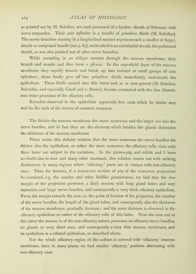 4H as pointed out by M. Schultze, are each possessed of a hyaline sheath of Schwann with nerve corpuscles. Their axis cylinder is a bundle of primitive fibrils (M. Schultze). The nerve branches running in a longitudinal manner represent each a smaller or larger, simple or compound bundle (see p. 85), ensheathed in an endothelial sheath, the perineural sheath, as was also pointed out of other nerve branches. While ascending in an oblique manner through the mucous membrane, they branch and reunite and thus form a plexus. In the superficial layer of the mucous membrane they rapidly branch and break up into isolated or small groups of axis cylinders; these finally give off fine primitive fibrils immediately underneath the epithelium. These fibrils ascend into this latter and, as is now proved (M. Schultze, Babuchin, and especially Cisoff and v. Brunn), become connected with the fine filamen- tous inner processes of the olfactory cells. Babuchin observed in the epithelium apparently free ends which he thinks may well be the ends of the nerves of common sensation. The thicker the mucous membrane the more numerous and the larger are also the nerve bundles, and in fact they are the elements which besides the glands determine the thickness of the mucous membrane. There exists this definite relation that the more numerous the nerve bundles the thicker also the epithelium, or rather the more numerous the olfactory cells, since only these latter are subject to the variations. In the guinea-pig, and rabbit, and I have no doubt also in man and many other mammals, this relation comes out with striking distinctness in many regions where ‘ olfactory ’ parts are in contact with non-olfactory ones. Thus, for instance, if a transverse section of any of the numerous projections be examined, e.g. the conchae and other foldlike prominences, we find that the free margin of the projection possesses a thick mucosa with long gland tubes and very numerous and large nerve bundles, and consequently a very thick olfactory epithelium. From the margin towards the root, i.e. the point of fixation of the projection, the number of the nerve bundles, the length of the gland tubes, and consequently also the thickness of the mucous membrane, gradually decrease; and the same decrease is observed in the olfactory epithelium or rather of the olfactory cells of this latter. Near the root and at this latter the mucosa is of the non-olfactory nature, possesses no olfactory nerve bundles, no glands or very short ones, and consequently a very thin mucous membrane, and its epithelium is a ciliated epithelium, as described above. Not the whole olfactory region of the authors is covered with ‘olfactory’ mucous membrane, since in many places we find smaller ‘ olfactory ’ portions alternating with non-olfactory ones.