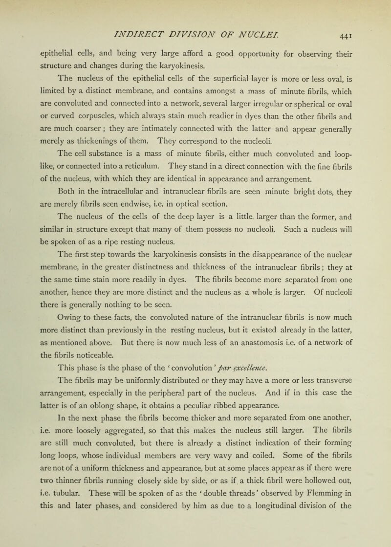 epithelial cells, and being very large afford a good opportunity for observing their structure and changes during the karyokinesis. The nucleus of the epithelial cells of the superficial layer is more or less oval, is limited by a distinct membrane, and contains amongst a mass of minute fibrils, which are convoluted and connected into a network, several larger irregular or spherical or oval or curved corpuscles, which always stain much readier in dyes than the other fibrils and are much coarser ; they are intimately connected with the latter and appear generally merely as thickenings of them. They correspond to the nucleoli. The cell substance is a mass of minute fibrils, either much convoluted and loop- like, or connected into a reticulum. They stand in a direct connection with the fine fibrils of the nucleus, with which they are identical in appearance and arrangement. Both in the intracellular and intranuclear fibrils are seen minute bright dots, they are merely fibrils seen endwise, i.e. in optical section. The nucleus of the cells of the deep layer is a little, larger than the former, and similar in structure except that many of them possess no nucleoli. Such a nucleus will be spoken of as a ripe resting nucleus. The first step towards the karyokinesis consists in the disappearance of the nuclear membrane, in the greater distinctness and thickness of the intranuclear fibrils ; they at the same time stain more readily in dyes. The fibrils become more separated from one another, hence they are more distinct and the nucleus as a whole is larger. Of nucleoli there is generally nothing to be seen. Owing to these facts, the convoluted nature of the intranuclear fibrils is now much more distinct than previously in the resting nucleus, but it existed already in the latter, as mentioned above. But there is now much less of an anastomosis i.e. of a network of the fibrils noticeable. This phase is the phase of the ‘convolution ’par excellence. The fibrils may be uniformly distributed or they may have a more or less transverse arrangement, especially in the peripheral part of the nucleus. And if in this case the latter is of an oblong shape, it obtains a peculiar ribbed appearance. In the next phase the fibrils become thicker and more separated from one another, i.e. more loosely aggregated, so that this makes the nucleus still larger. The fibrils are still much convoluted, but there is already a distinct indication of their forming long loops, whose individual members are very wavy and coiled. Some of the fibrils are not of a uniform thickness and appearance, but at some places appear as if there were two thinner fibrils running closely side by side, or as if a thick fibril were hollowed out, i.e. tubular. These will be spoken of as the ‘ double threads ’ observed by Flemming in this and later phases, and considered by him as due to a longitudinal division of the