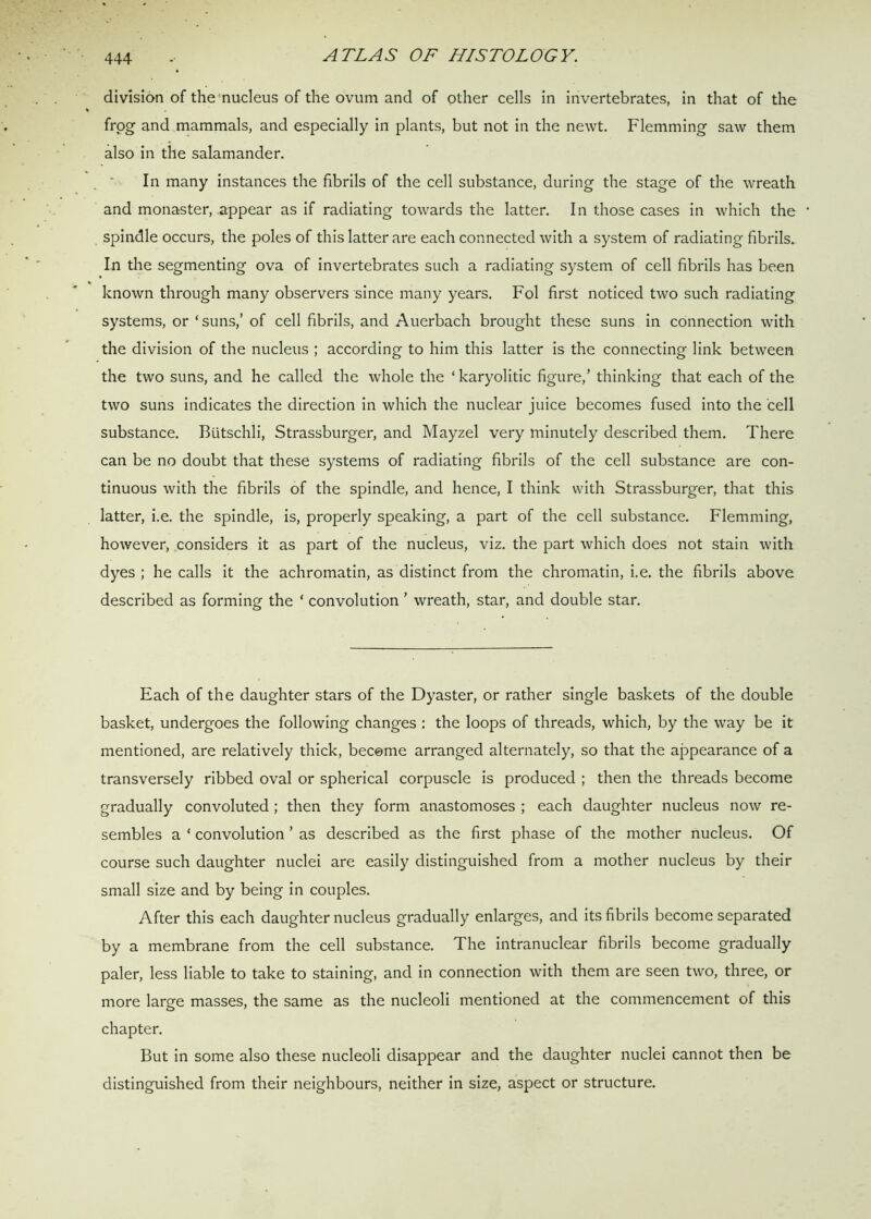 division of the nucleus of the ovum and of other cells in invertebrates, in that of the frog and mammals, and especially in plants, but not in the newt. Flemming saw them also in the salamander. In many instances the fibrils of the cell substance, during the stage of the wreath and monaster, appear as if radiating towards the latter. In those cases in which the spindle occurs, the poles of this latter are each connected with a system of radiating fibrils. In the segmenting ova of invertebrates such a radiating system of cell fibrils has been known through many observers since many years. Fol first noticed two such radiating systems, or ‘suns,’ of cell fibrils, and Auerbach brought these suns in connection with the division of the nucleus ; according to him this latter is the connecting link between the two suns, and he called the whole the ‘ karyolitic figure,’ thinking that each of the two suns indicates the direction in which the nuclear juice becomes fused into the cell substance. Biitschli, Strassburger, and Mayzel very minutely described them. There can be no doubt that these systems of radiating fibrils of the cell substance are con- tinuous with the fibrils of the spindle, and hence, I think with Strassburger, that this latter, i.e. the spindle, is, properly speaking, a part of the cell substance. Flemming, however, considers it as part of the nucleus, viz. the part which does not stain with dyes ; he calls it the achromatin, as distinct from the chromatin, i.e. the fibrils above described as forming the ‘ convolution ’ wreath, star, and double star. Each of the daughter stars of the Dyaster, or rather single baskets of the double basket, undergoes the following changes : the loops of threads, which, by the way be it mentioned, are relatively thick, become arranged alternately, so that the appearance of a transversely ribbed oval or spherical corpuscle is produced ; then the threads become gradually convoluted ; then they form anastomoses ; each daughter nucleus now re- sembles a * convolution ’ as described as the first phase of the mother nucleus. Of course such daughter nuclei are easily distinguished from a mother nucleus by their small size and by being in couples. After this each daughter nucleus gradually enlarges, and its fibrils become separated by a membrane from the cell substance. The intranuclear fibrils become gradually paler, less liable to take to staining, and in connection with them are seen two, three, or more large masses, the same as the nucleoli mentioned at the commencement of this chapter. But in some also these nucleoli disappear and the daughter nuclei cannot then be distinguished from their neighbours, neither in size, aspect or structure.